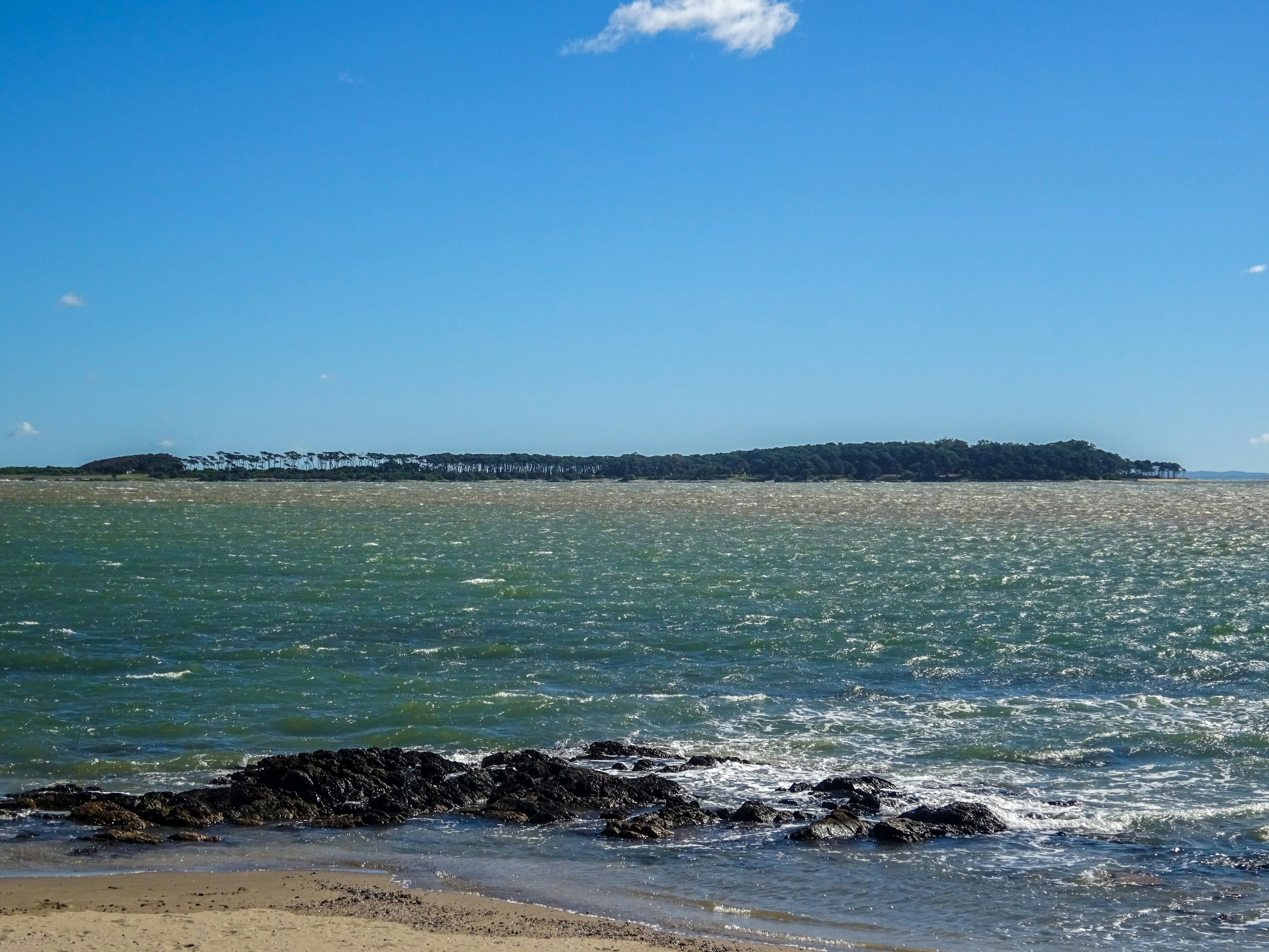 Photo by nikolaikolosov