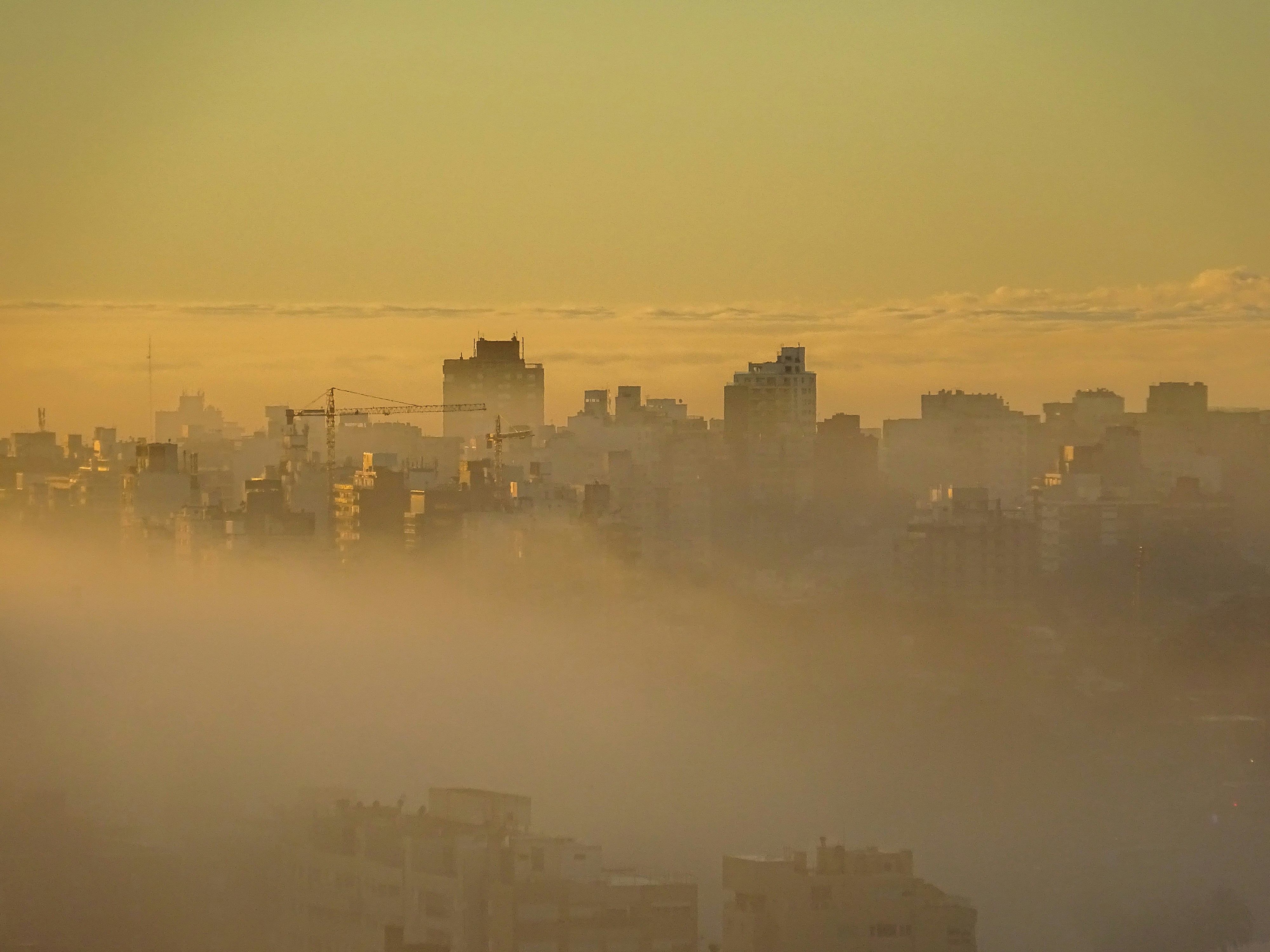 Photo by nikolaikolosov