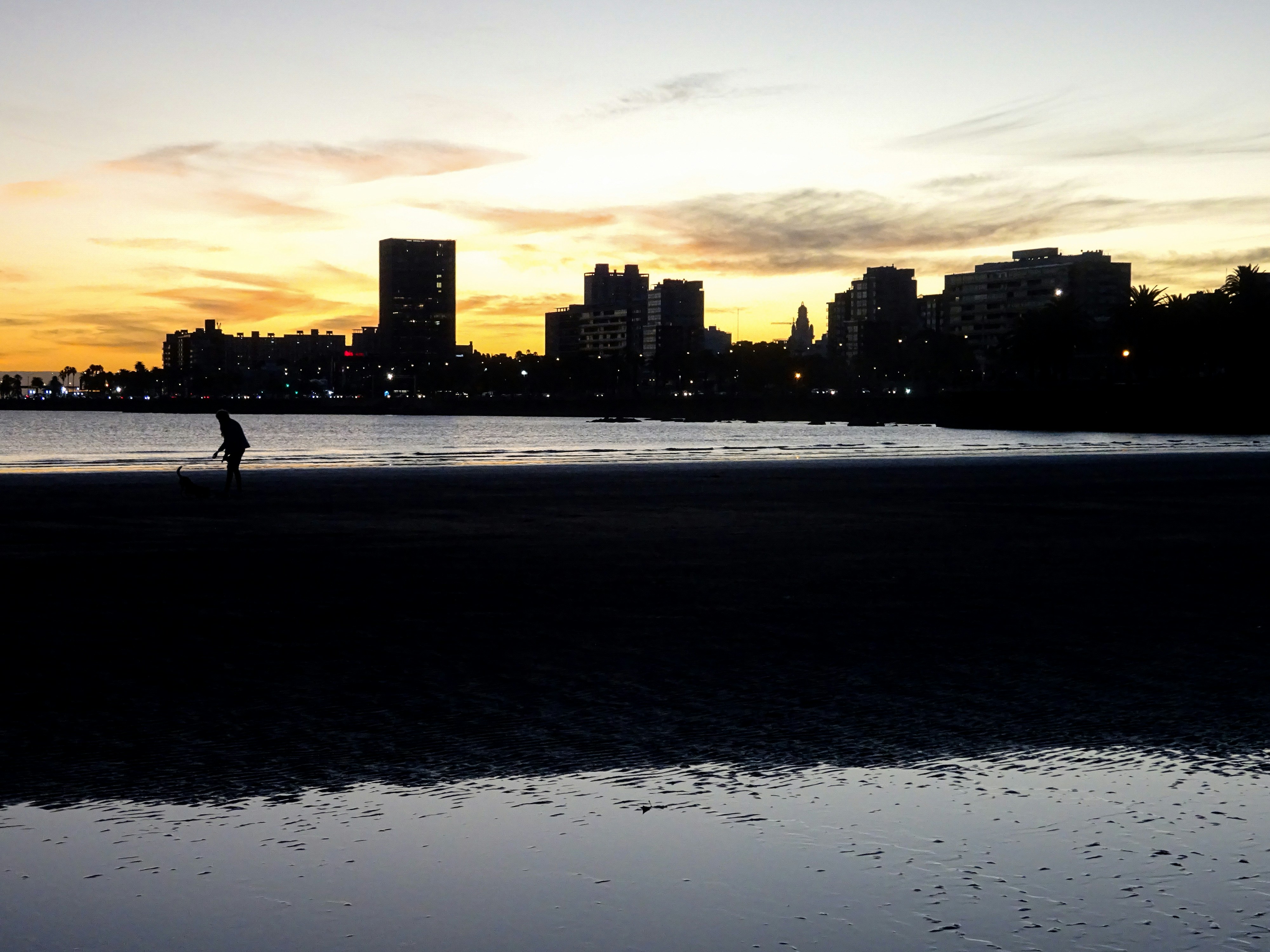 Silhouette of a person on a beach at sunset