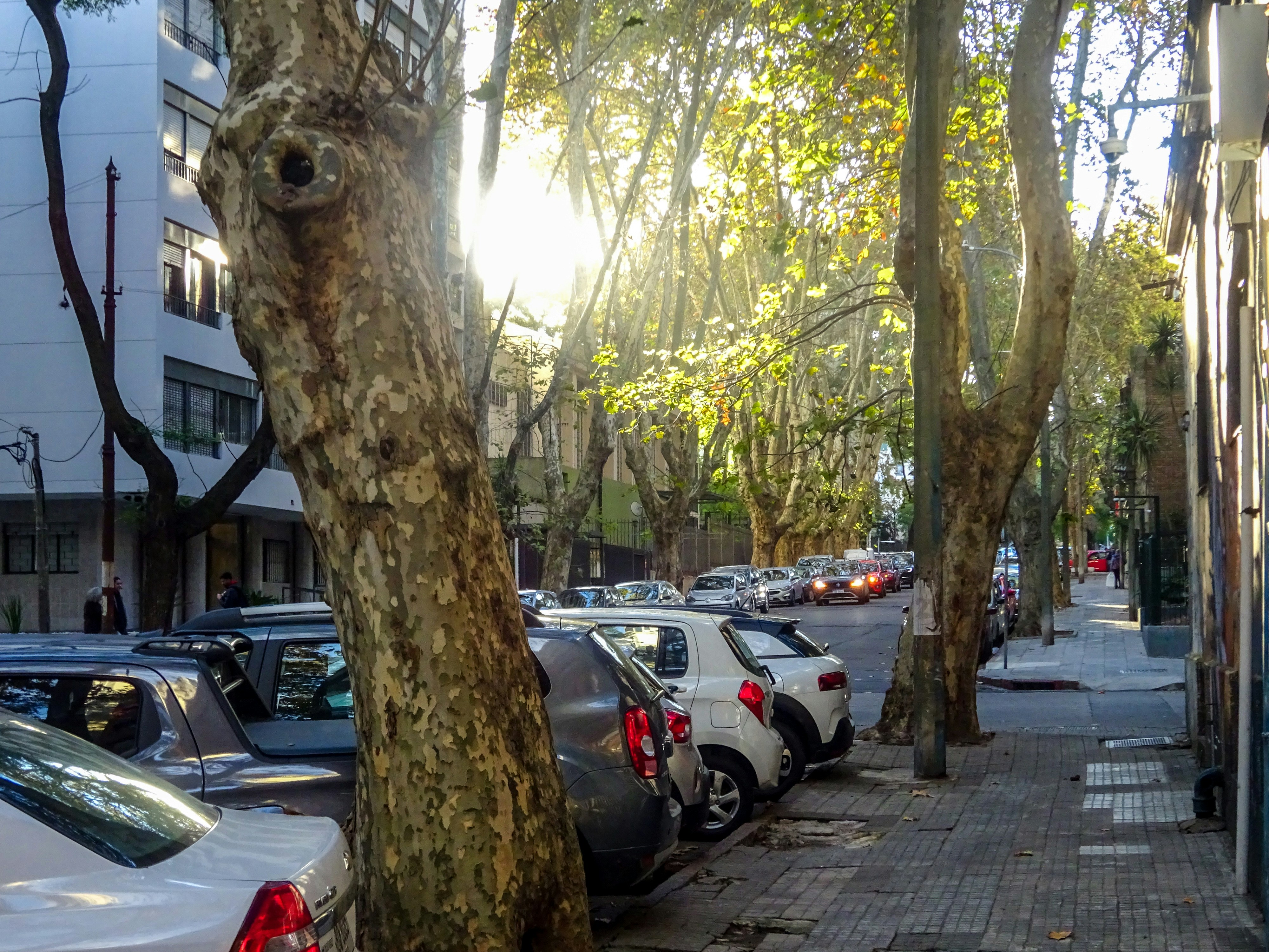 Photo by nikolaikolosov