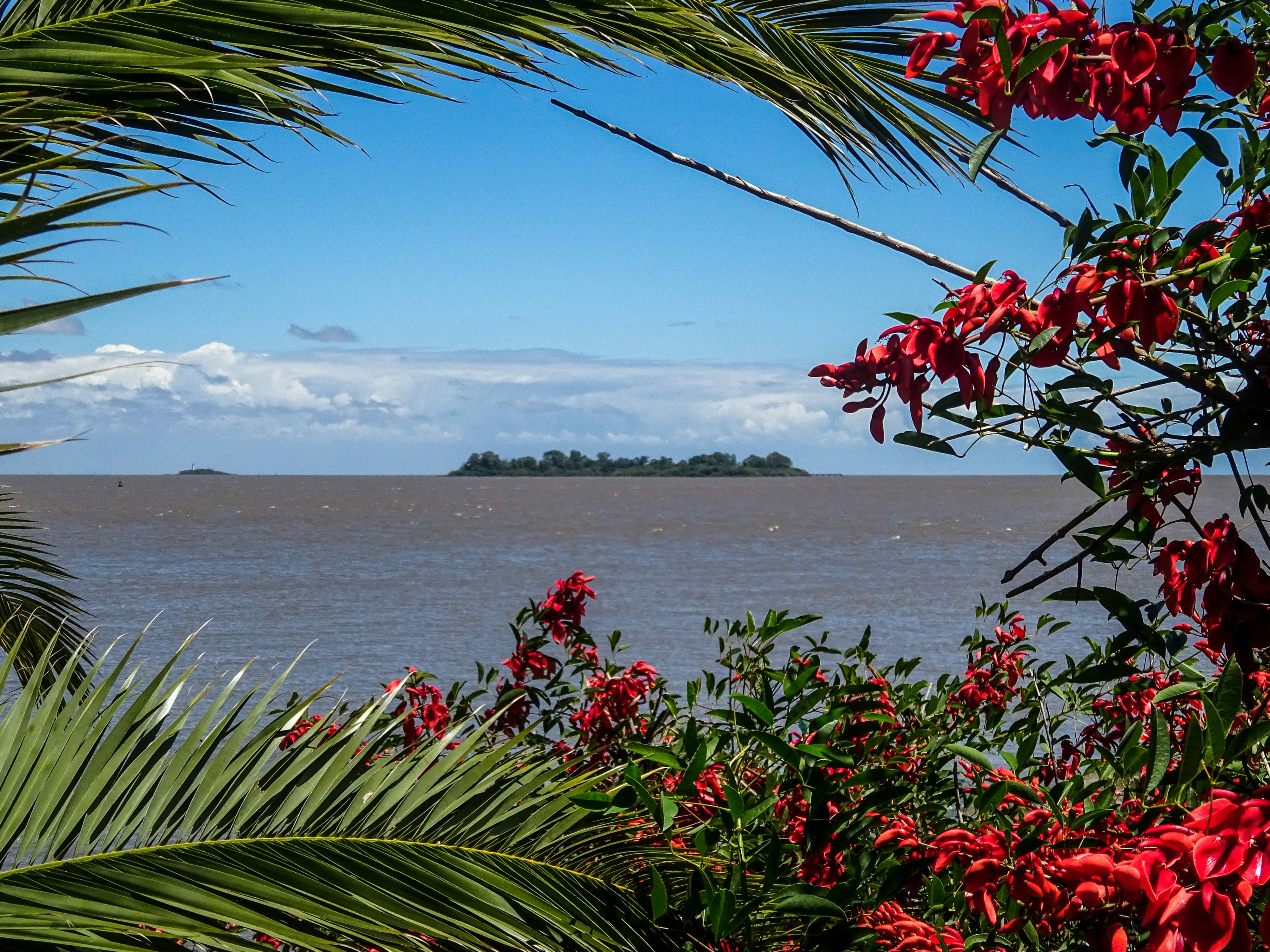 Photo by nikolaikolosov