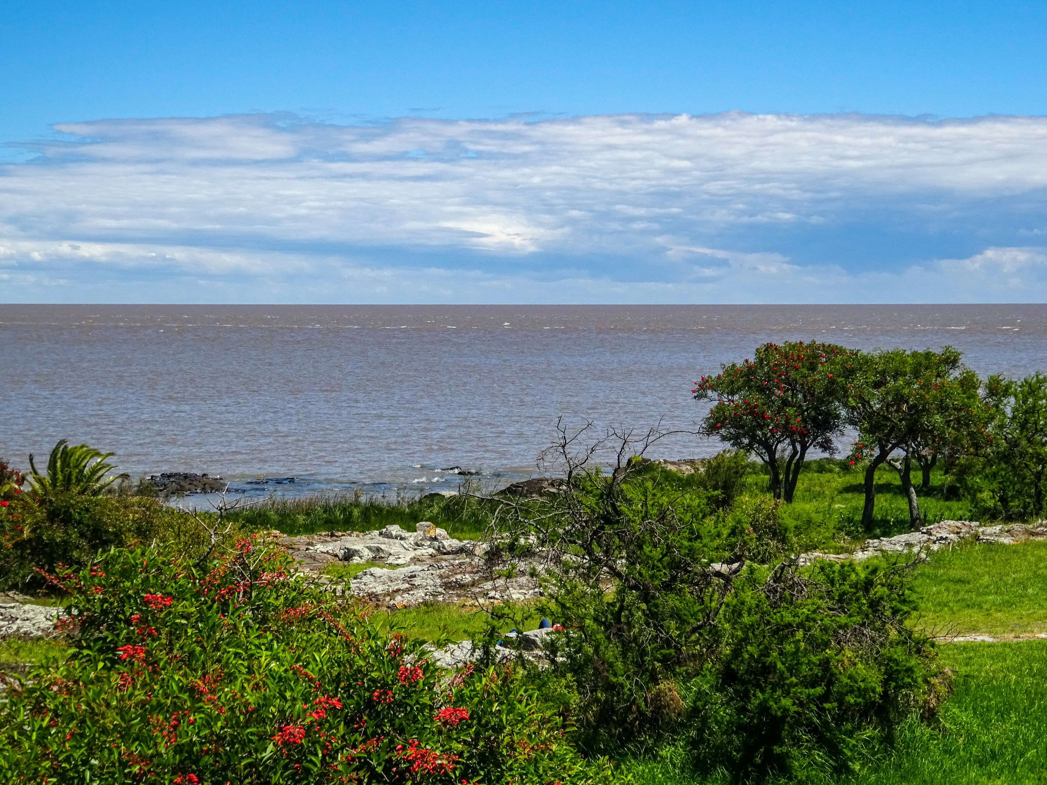 Photo by nikolaikolosov