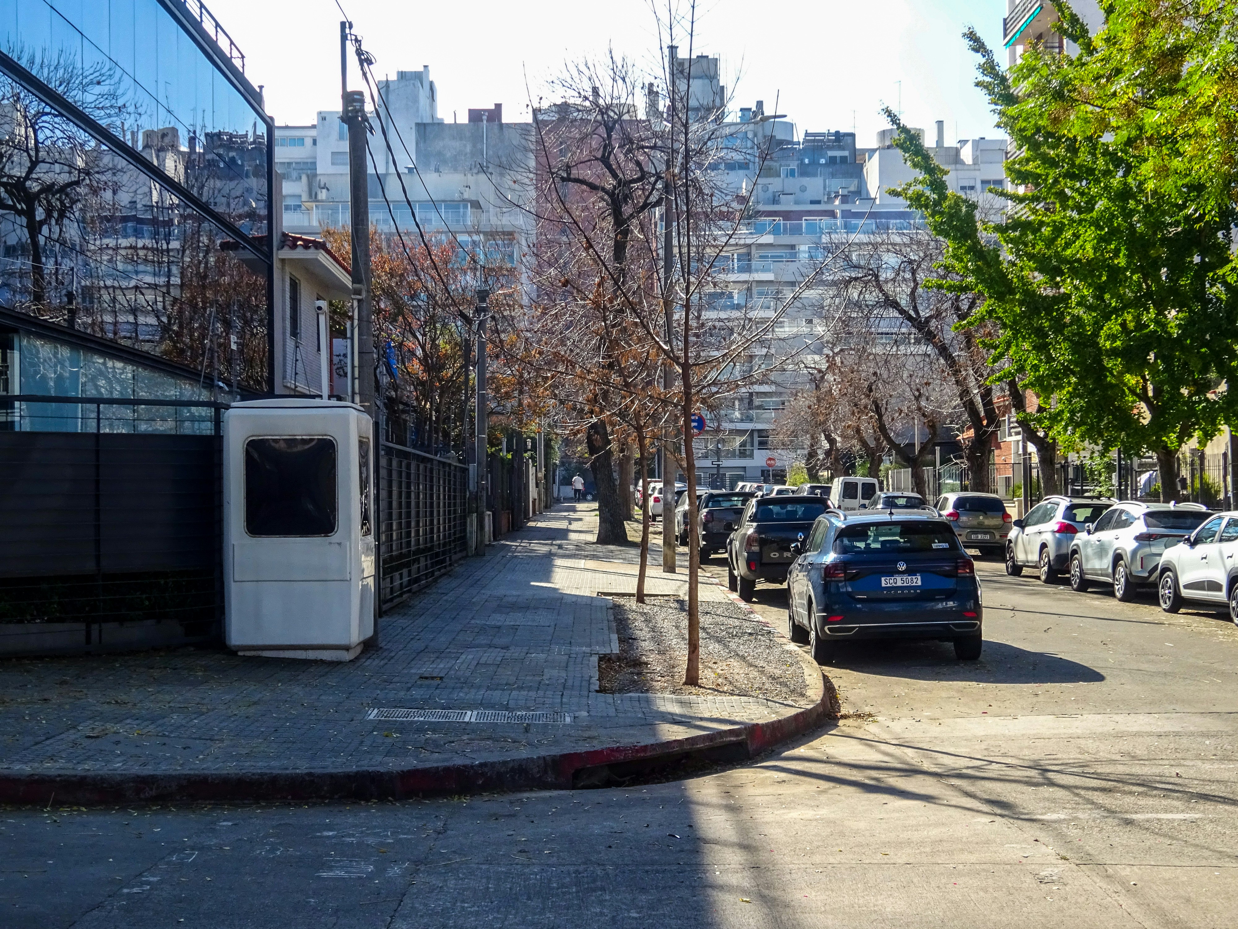 Cars parked along a tree-lined city street.