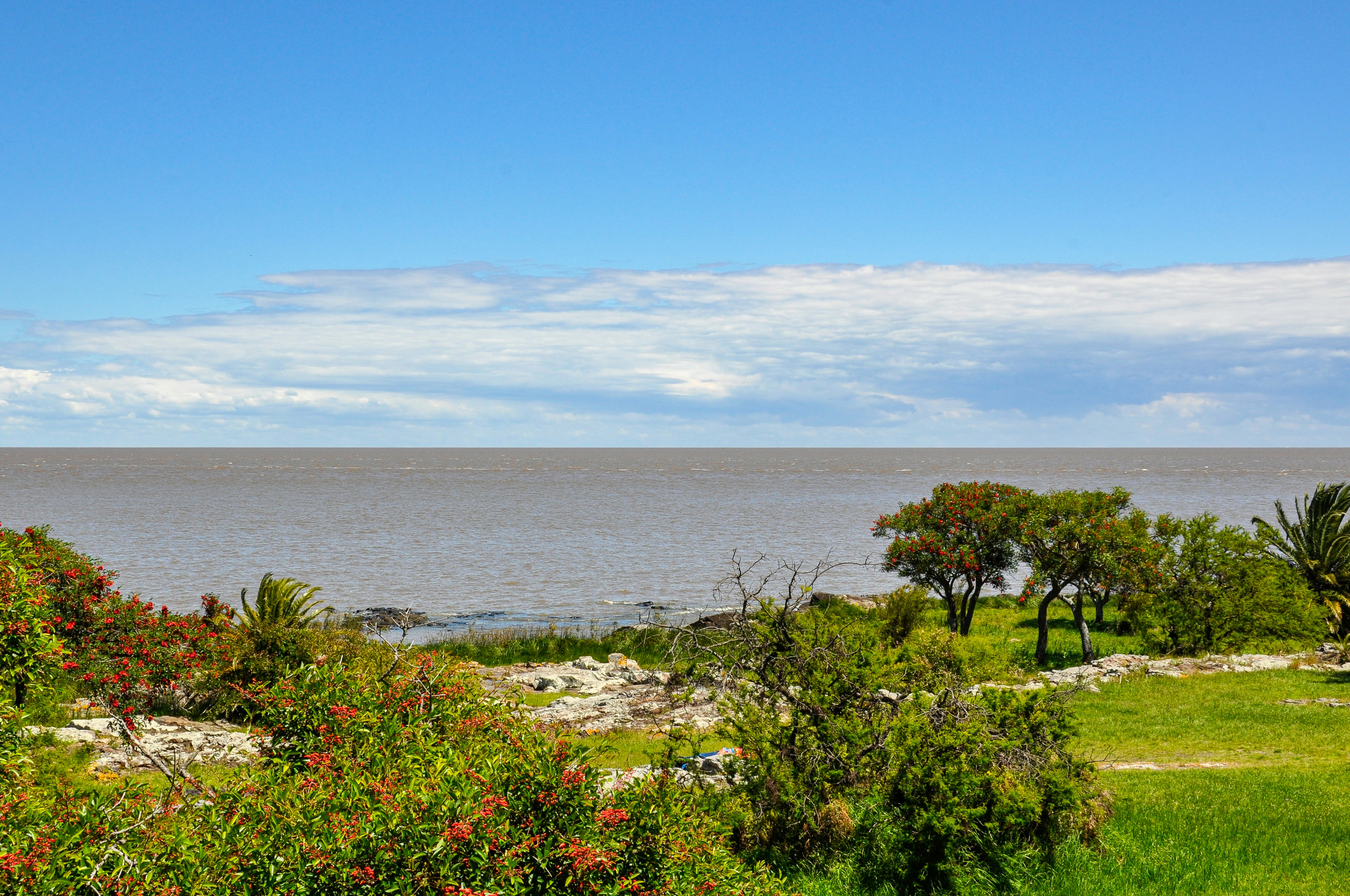 Photo by nikolaikolosov