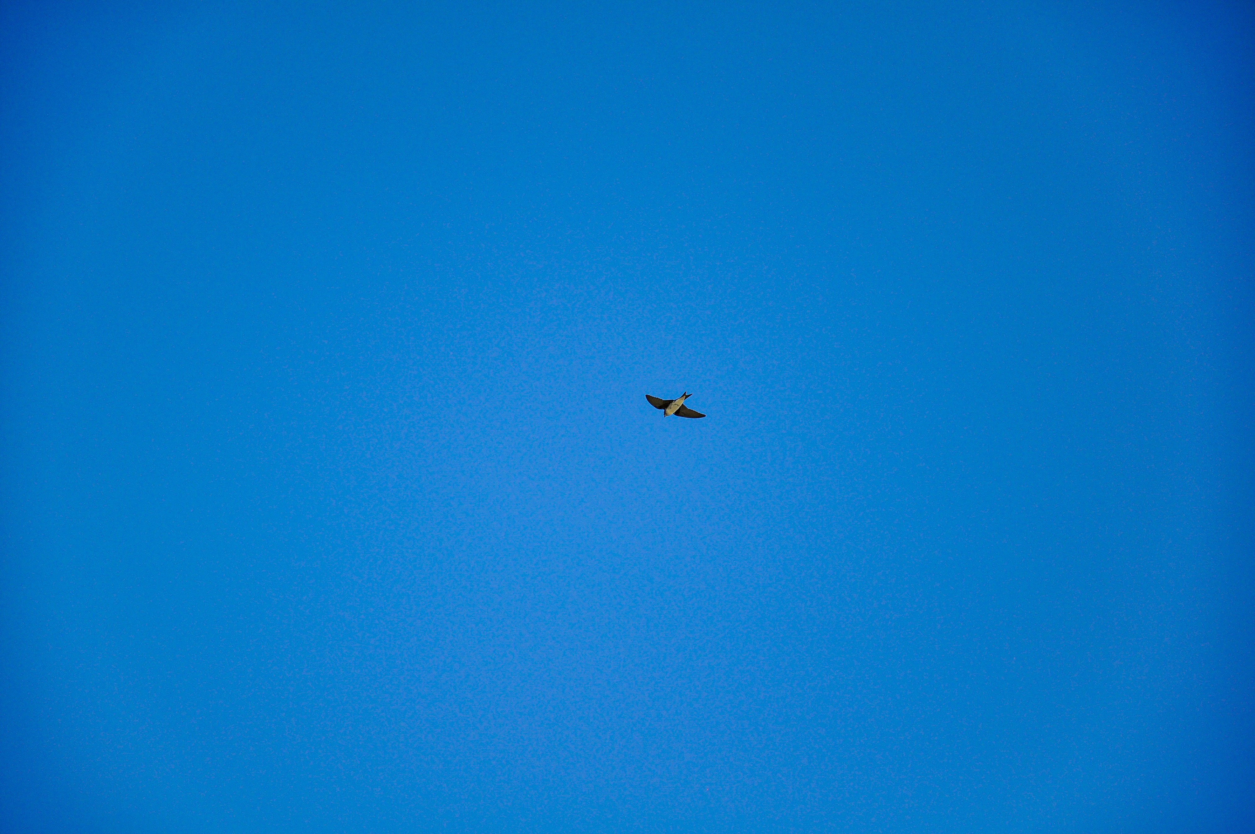 Photo by nikolaikolosov