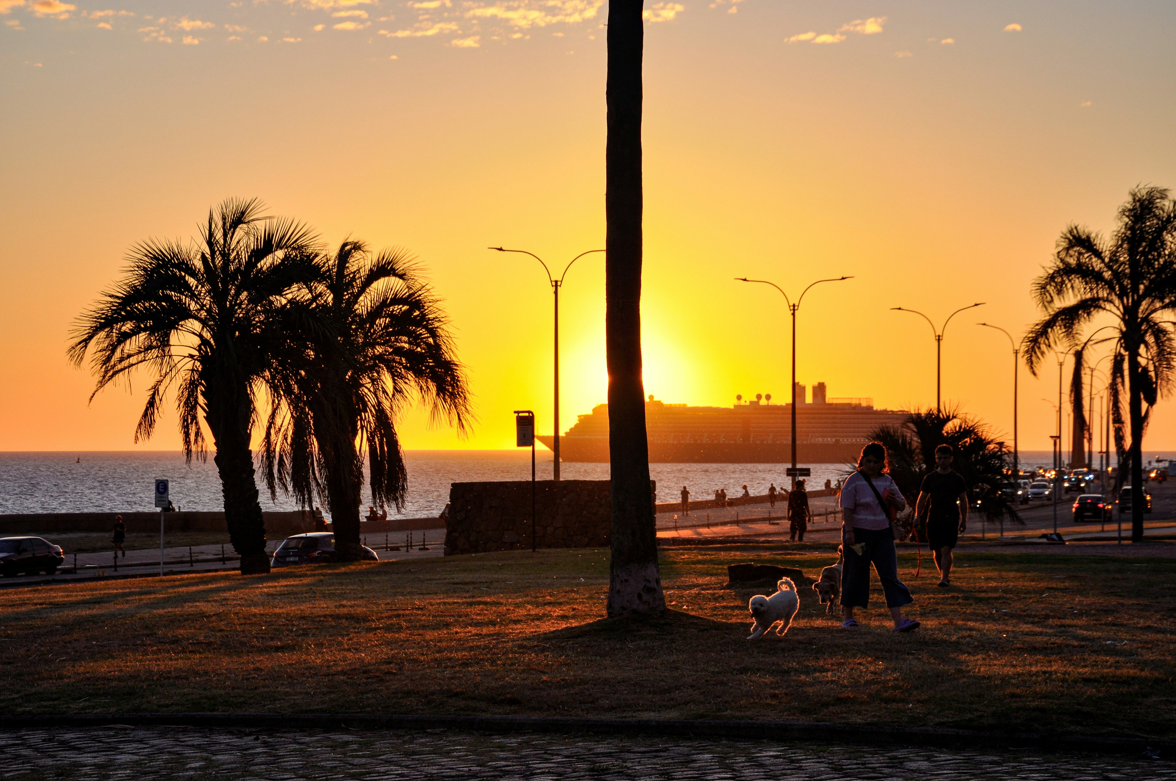 Sunset over the ocean with palm trees and people.