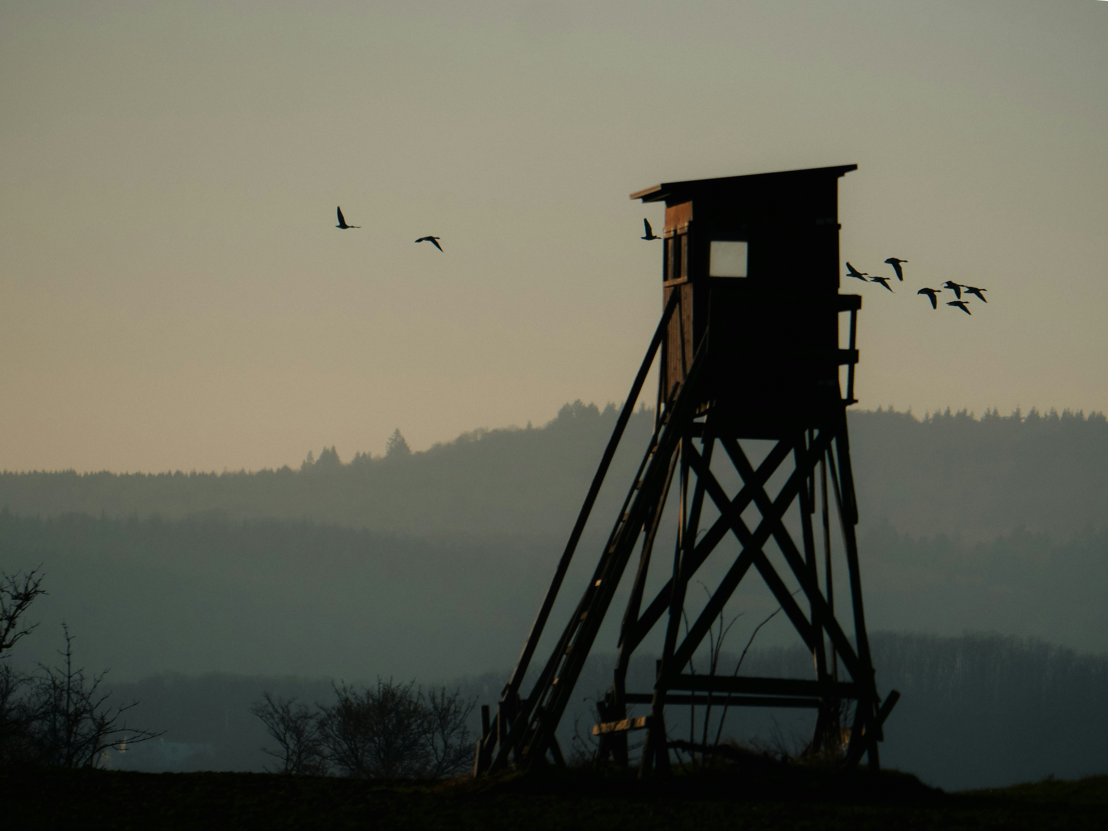 A hunting blind silhouetted against the sky at dusk.