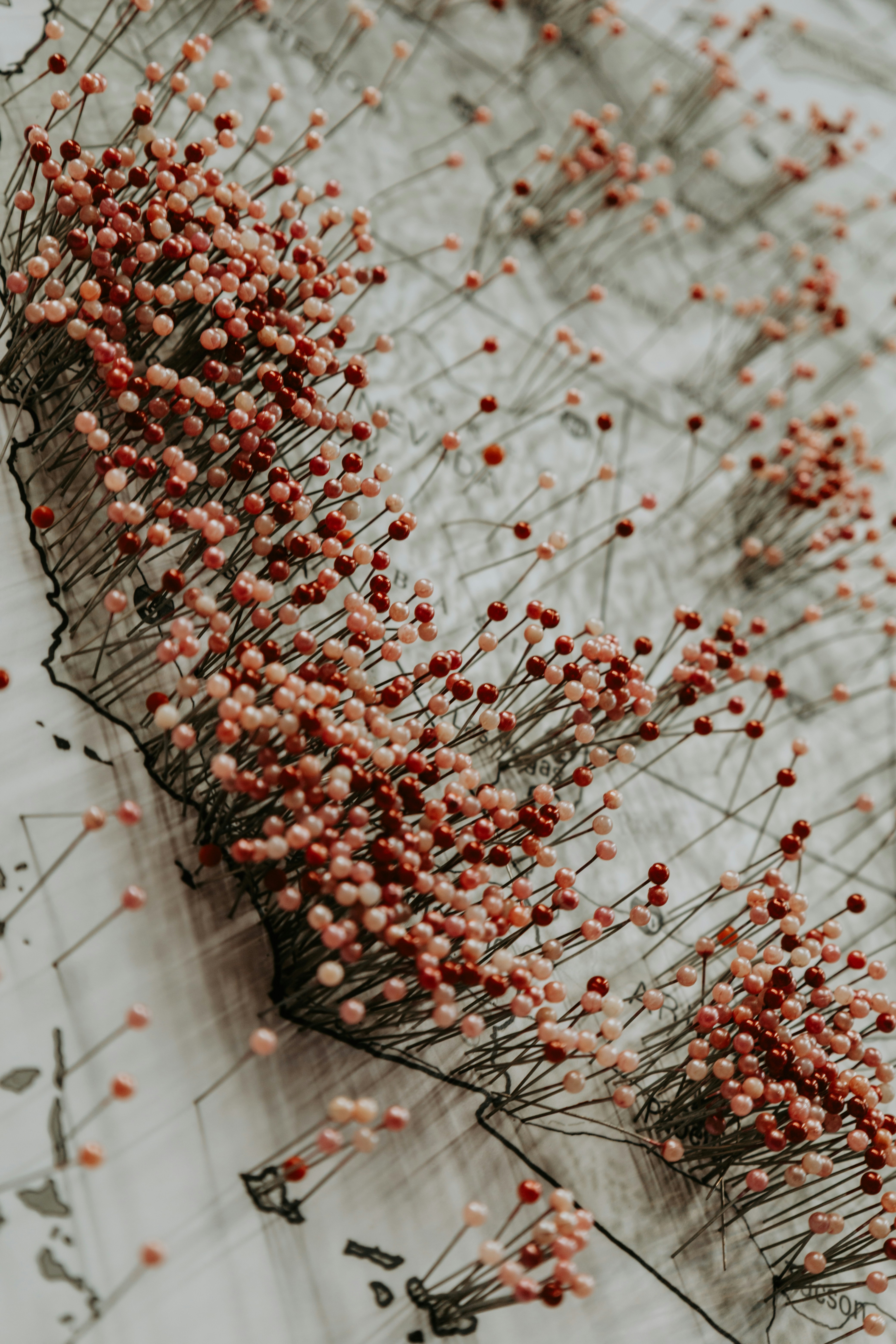 Local Refill Options and Sustainable Shopping in the Caribbean