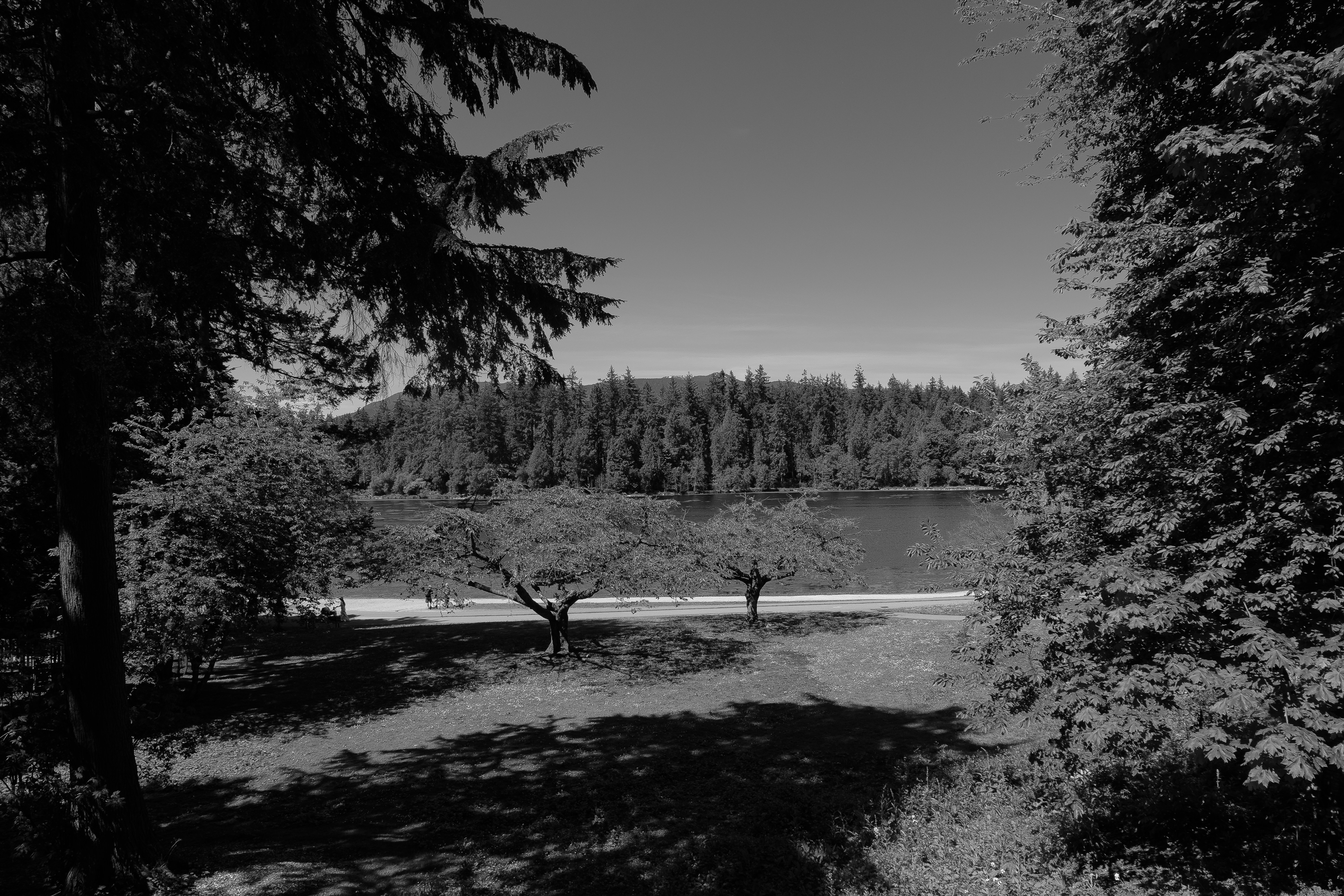 Photo by ericstoynov