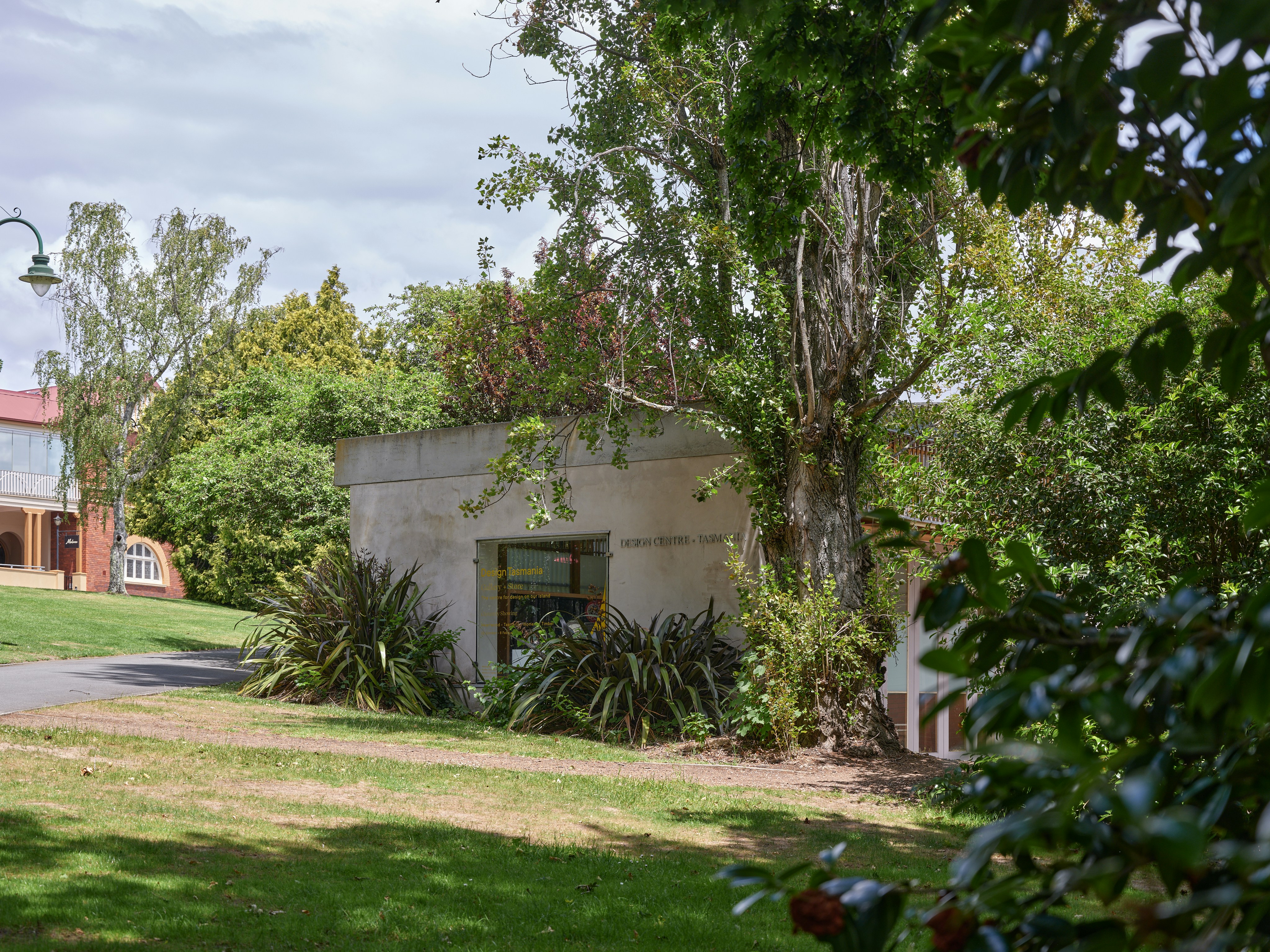 Photo by neonwangphotography