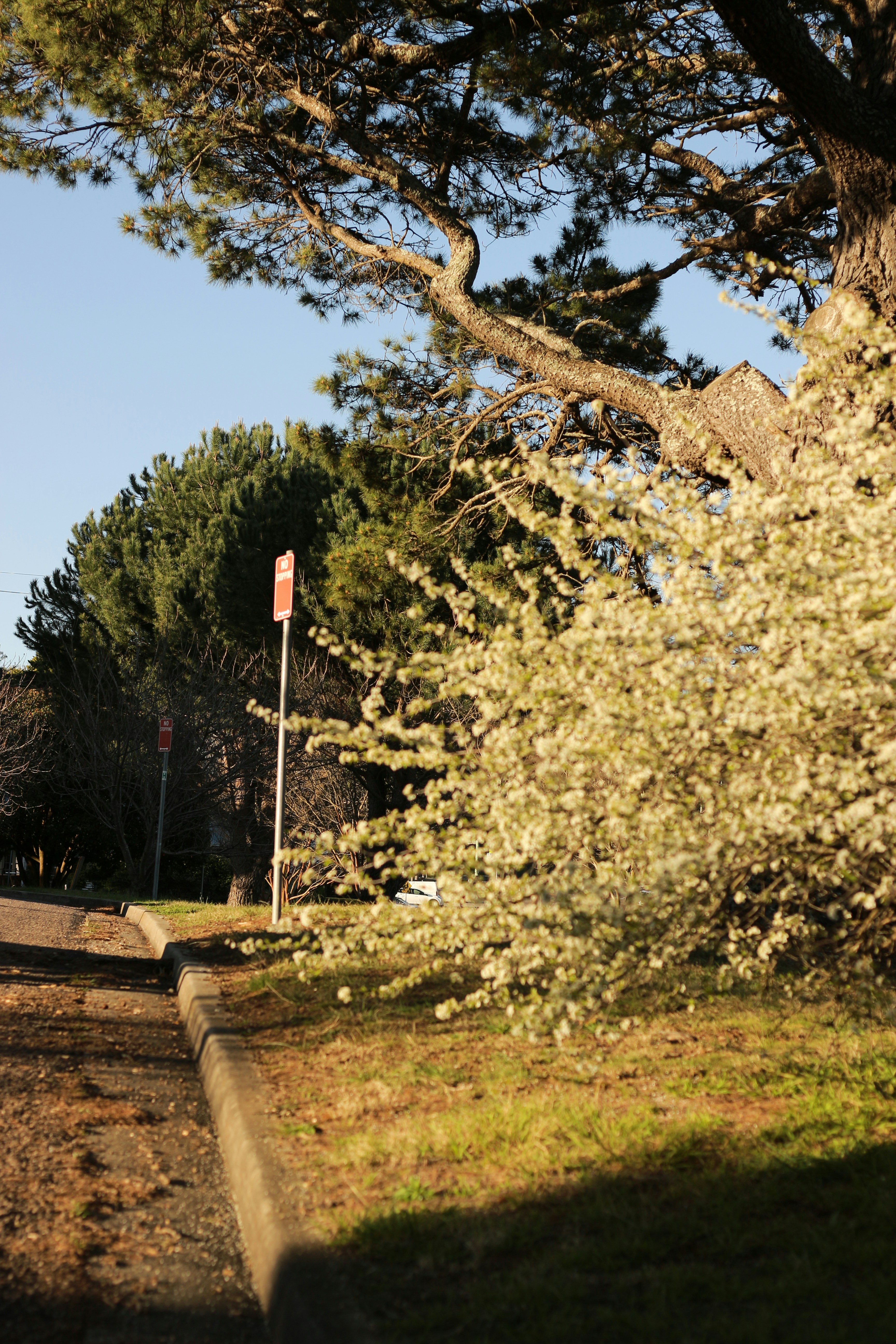 Photo by angie_baongoc