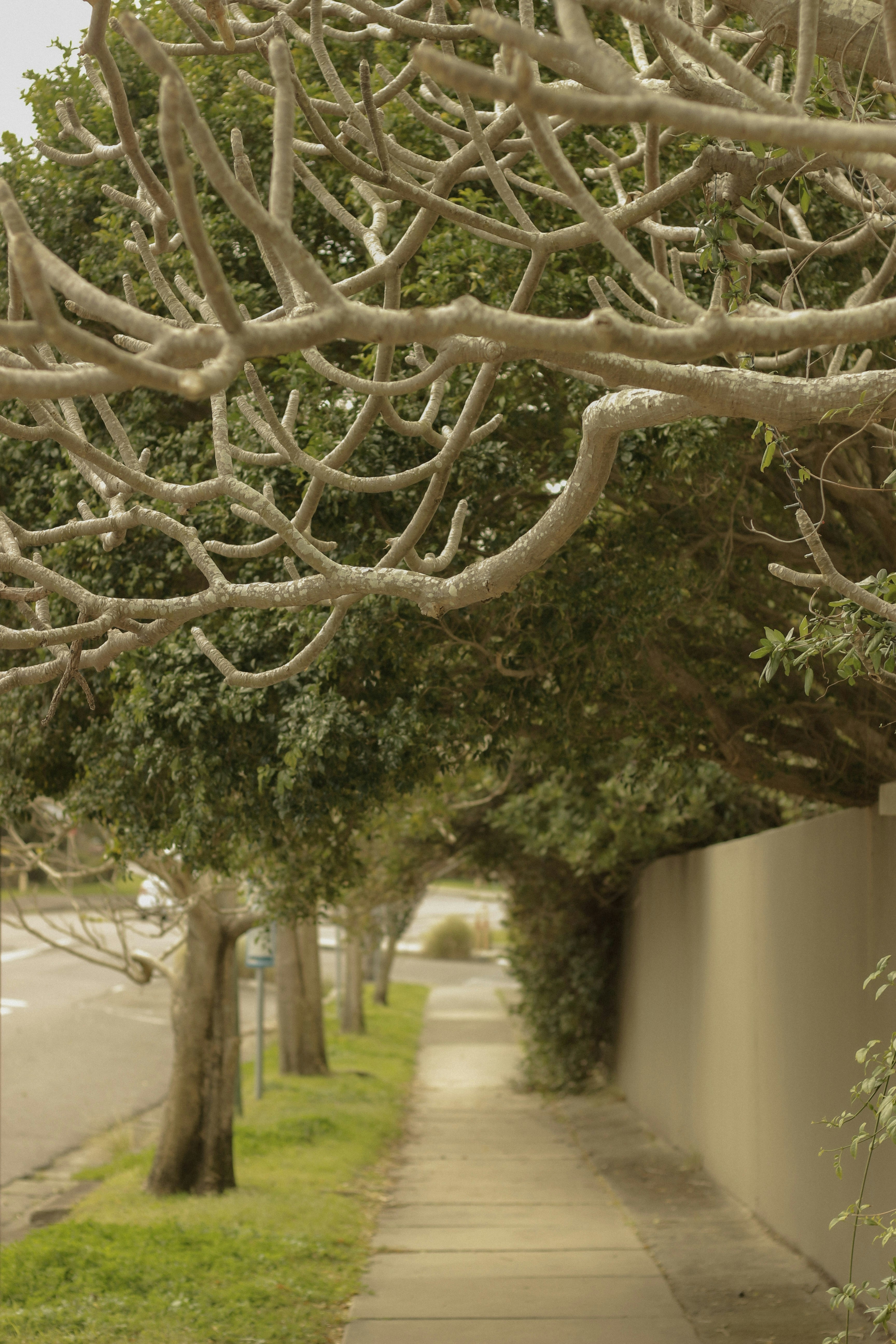 Photo by angie_baongoc