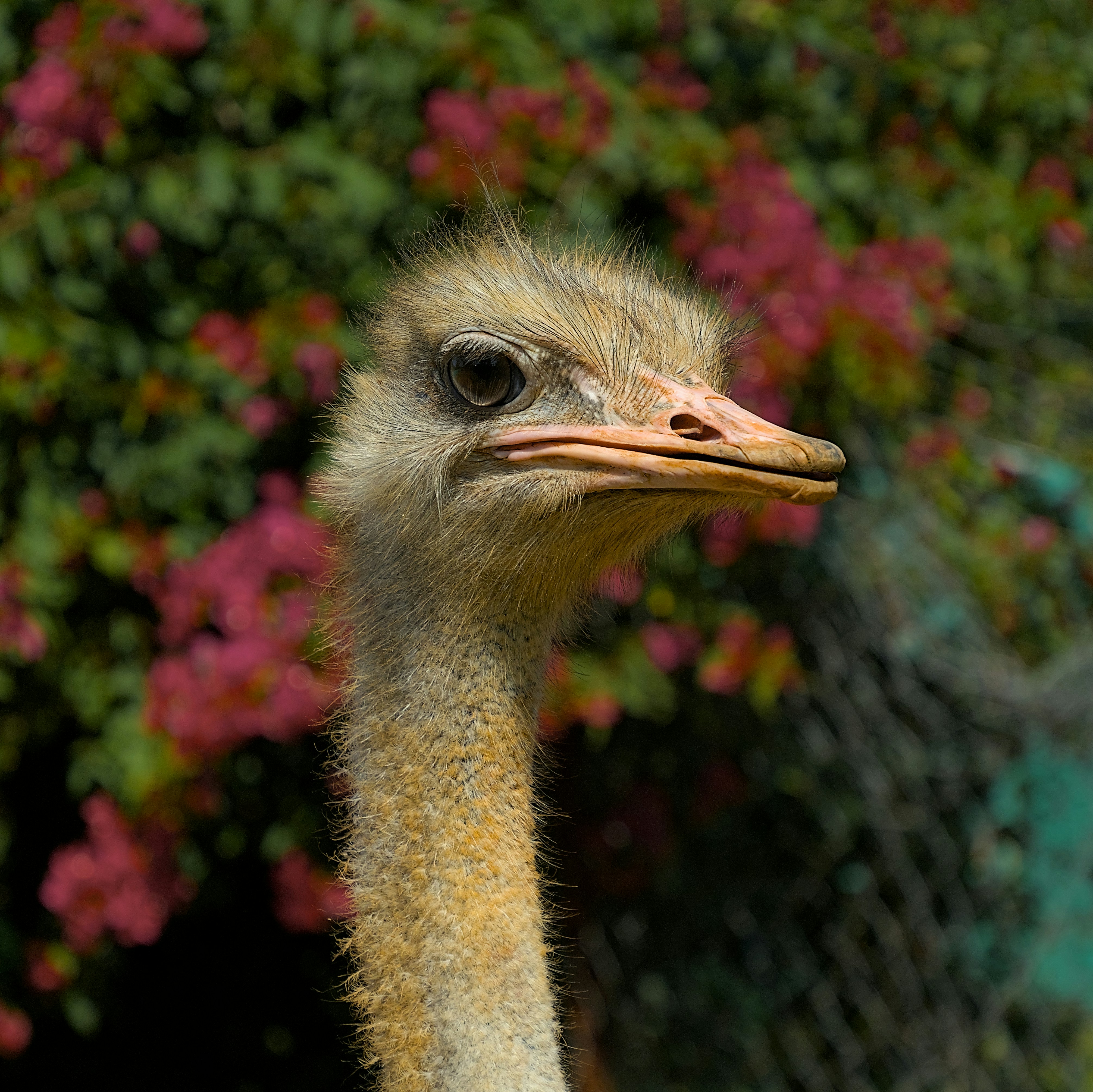 Photo by raja_clicks