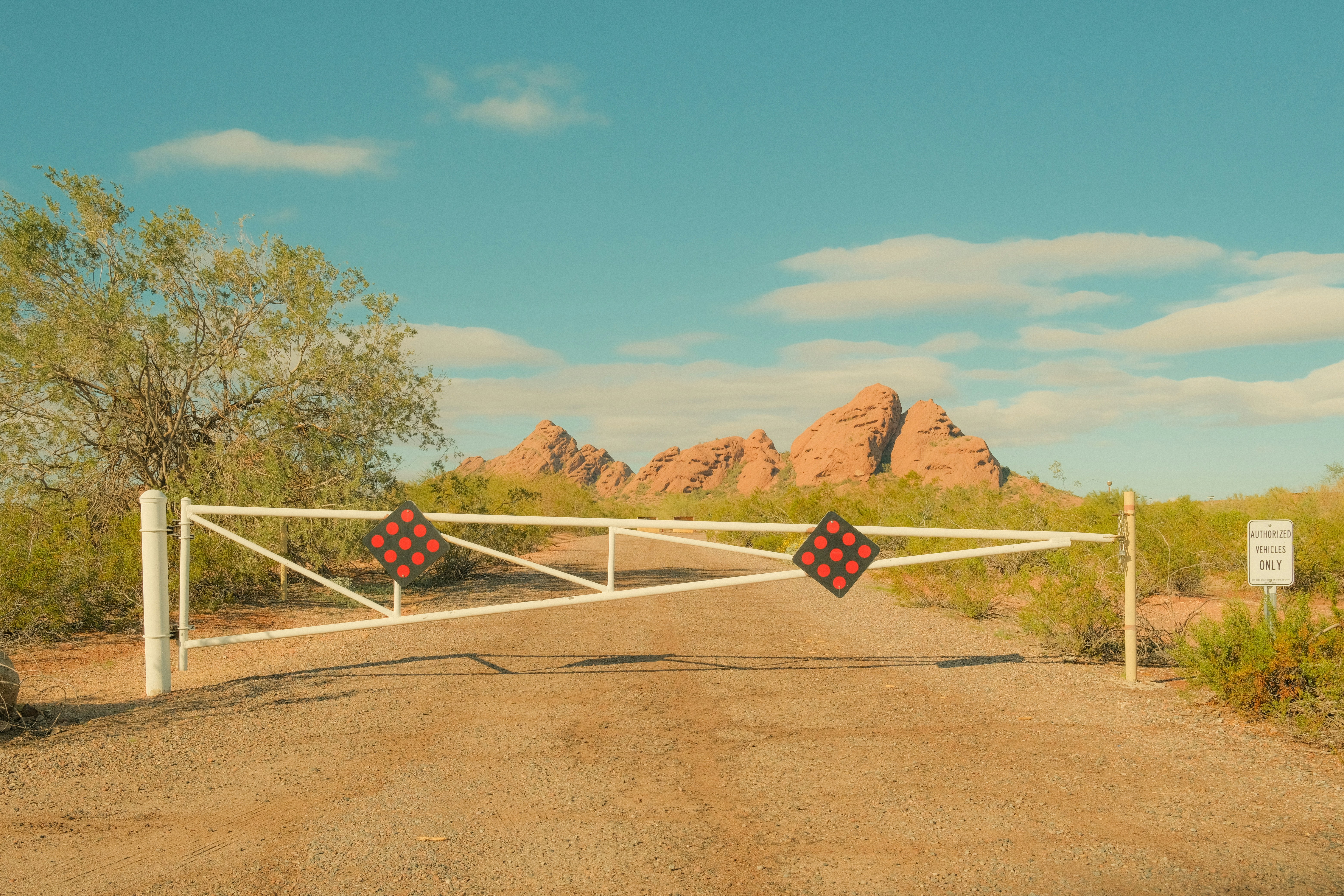Nos conseils pour réduire les coûts.