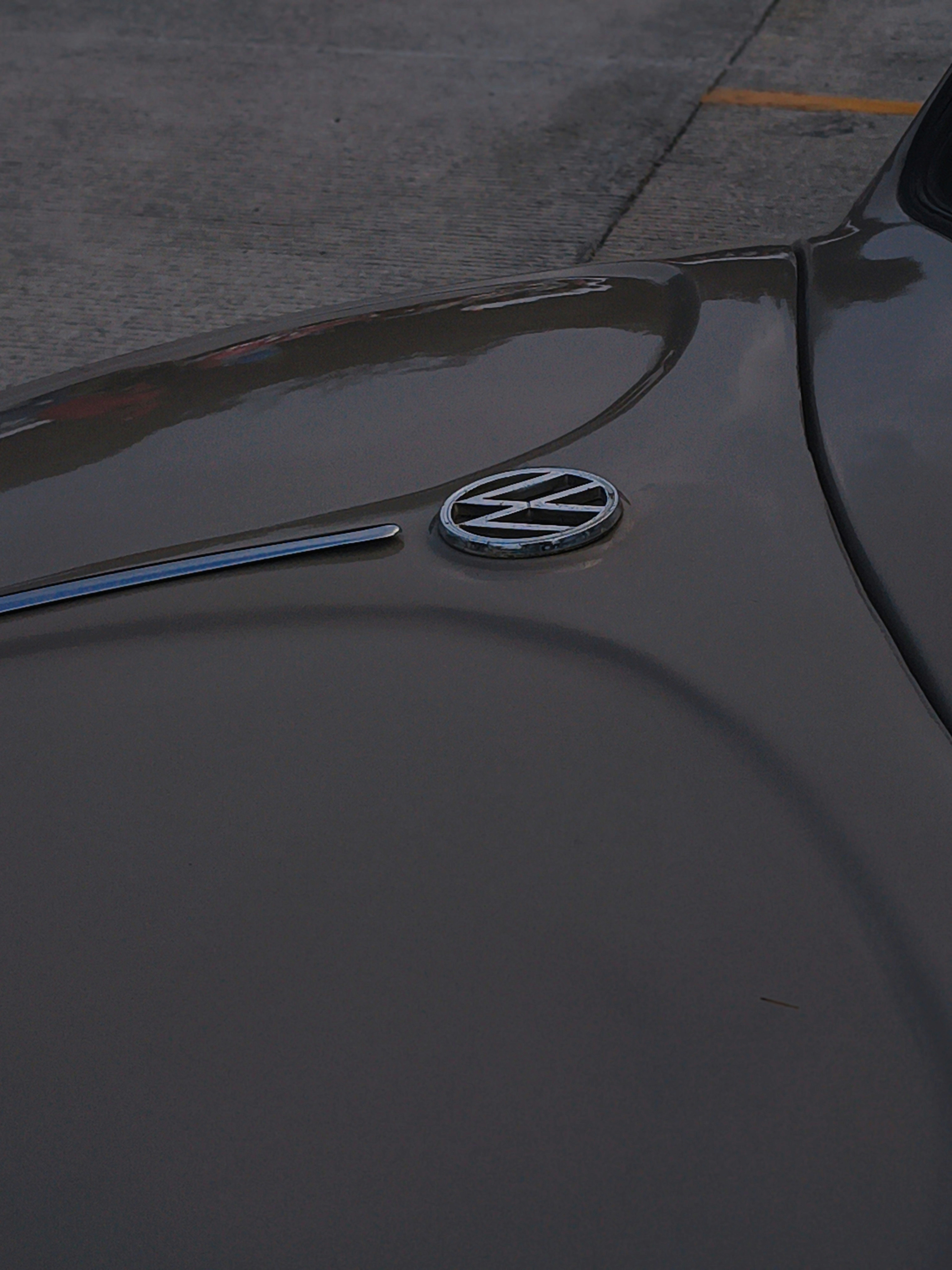 Close-up of a vintage volkswagen beetle hood emblem