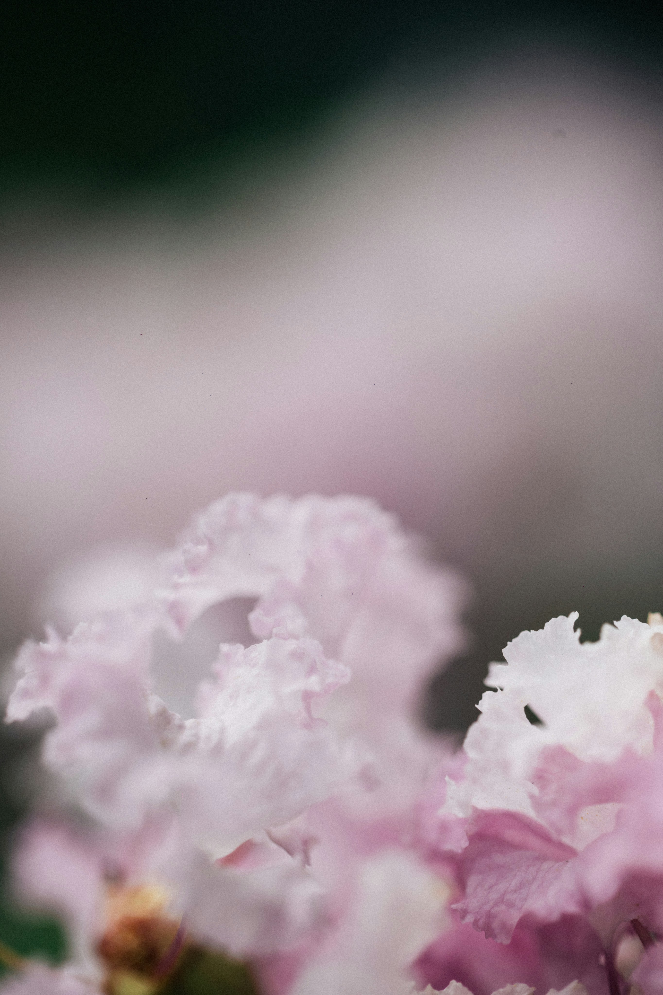 Photo by tsuyoshikozu