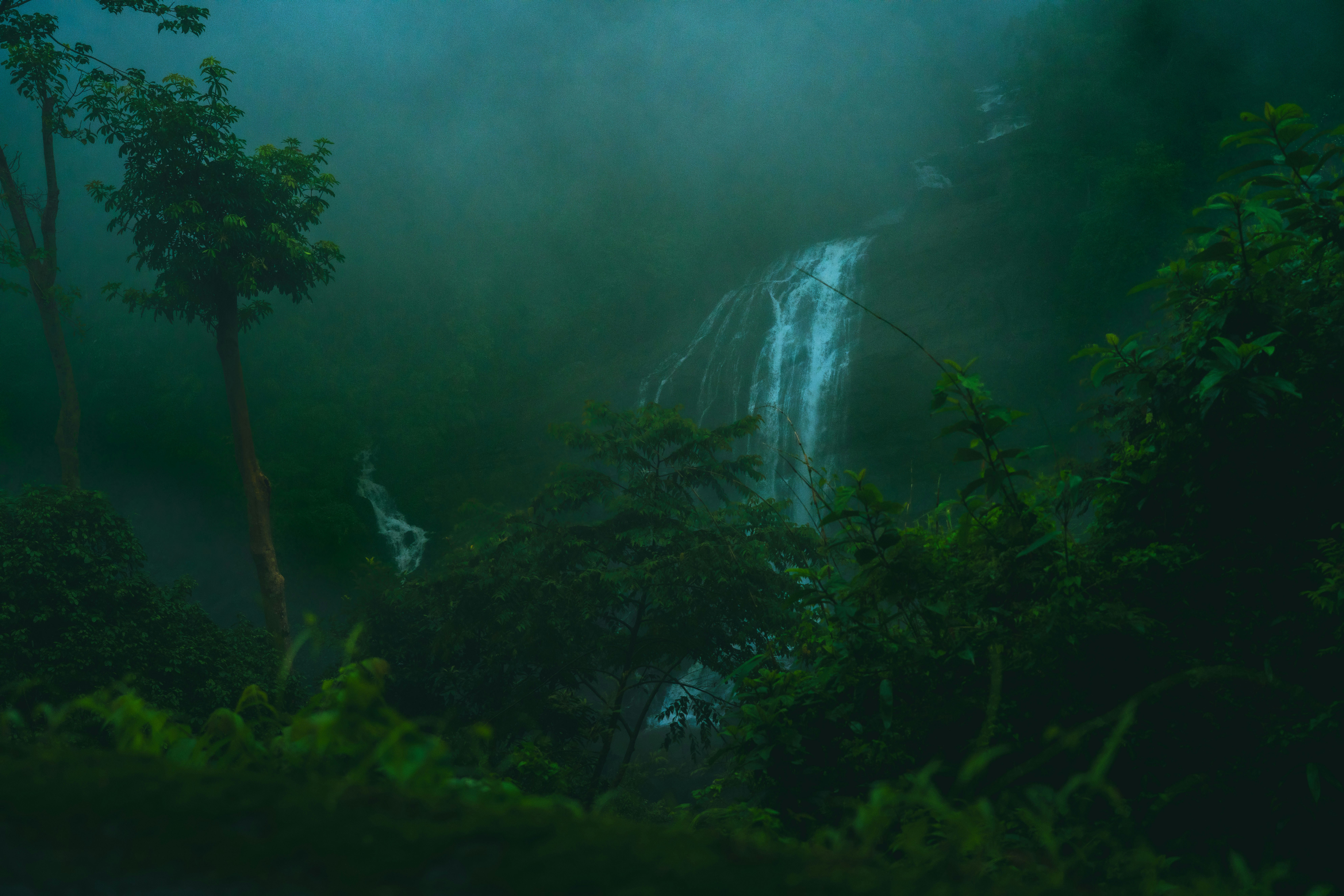 Photo by cartist_sarvam