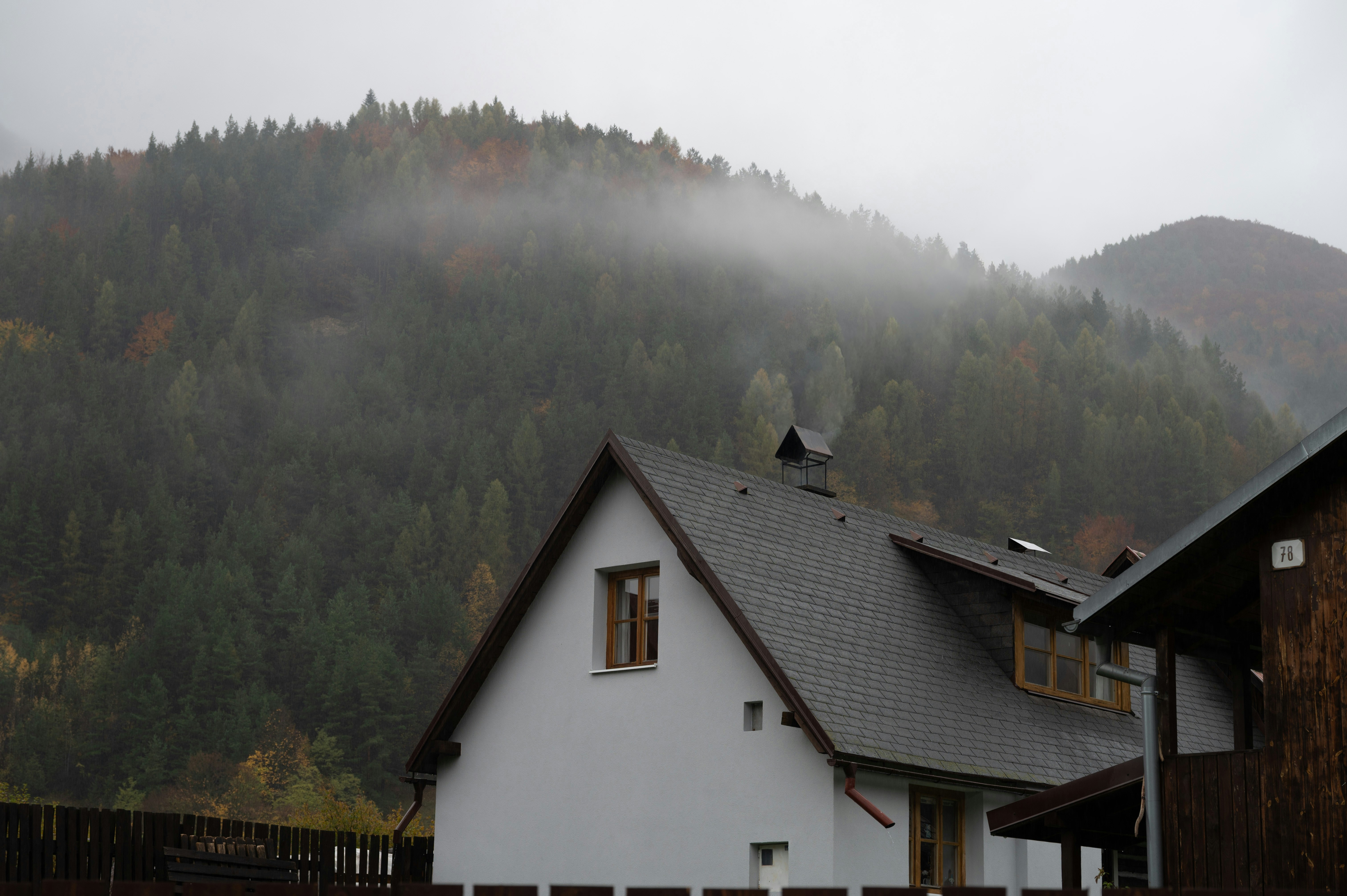 Photo by buduczki