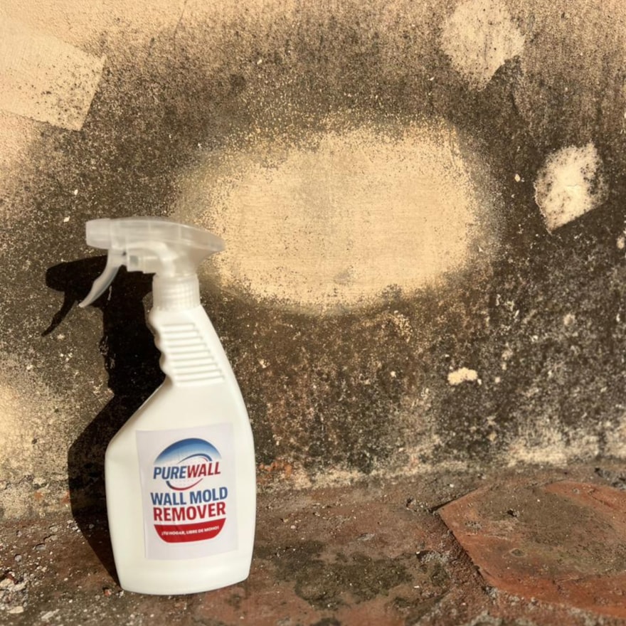 Antes - Pared con moho