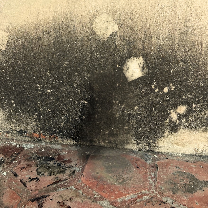 Después - Pared limpia