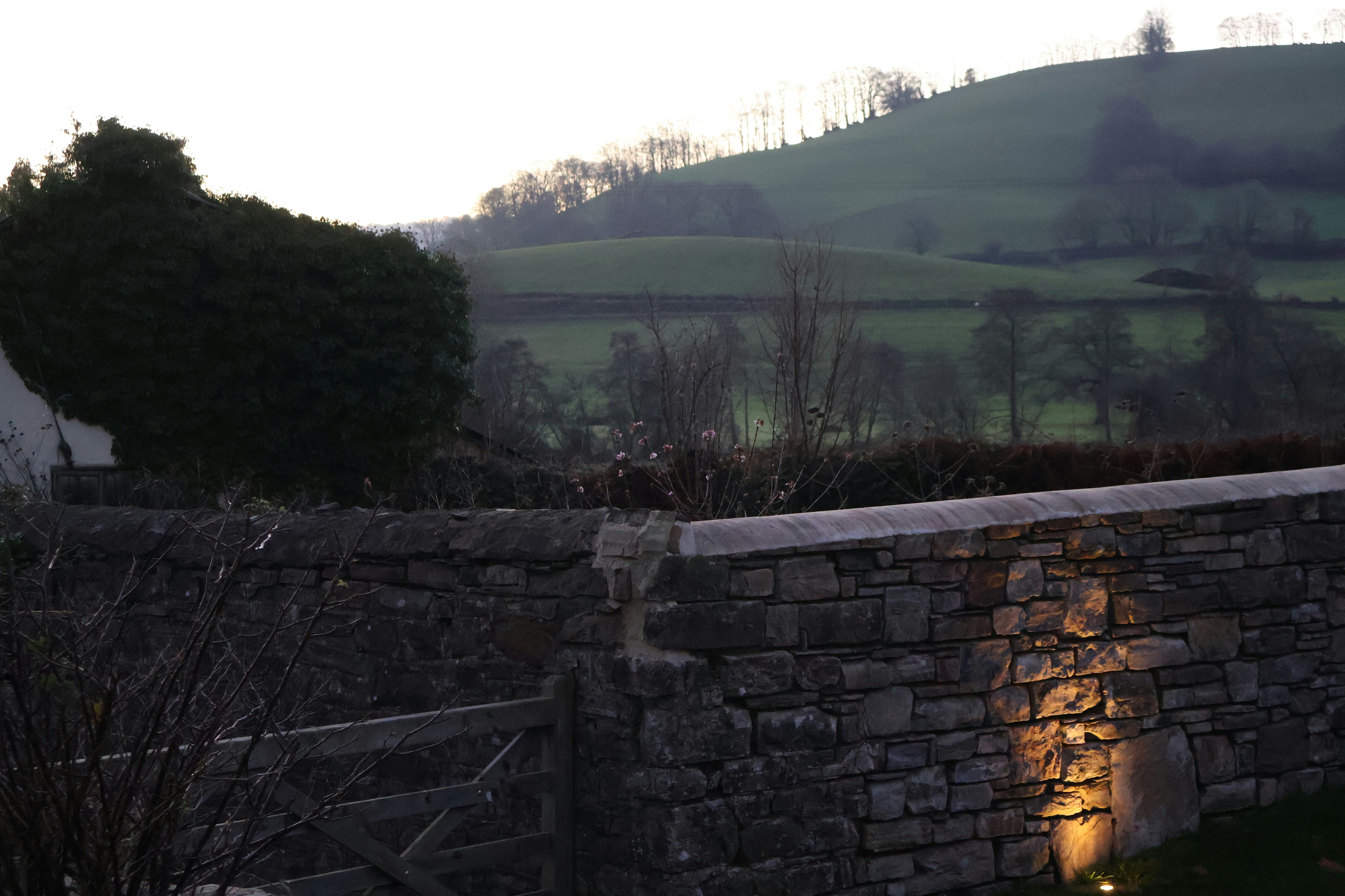 Photo by tanyabarrow