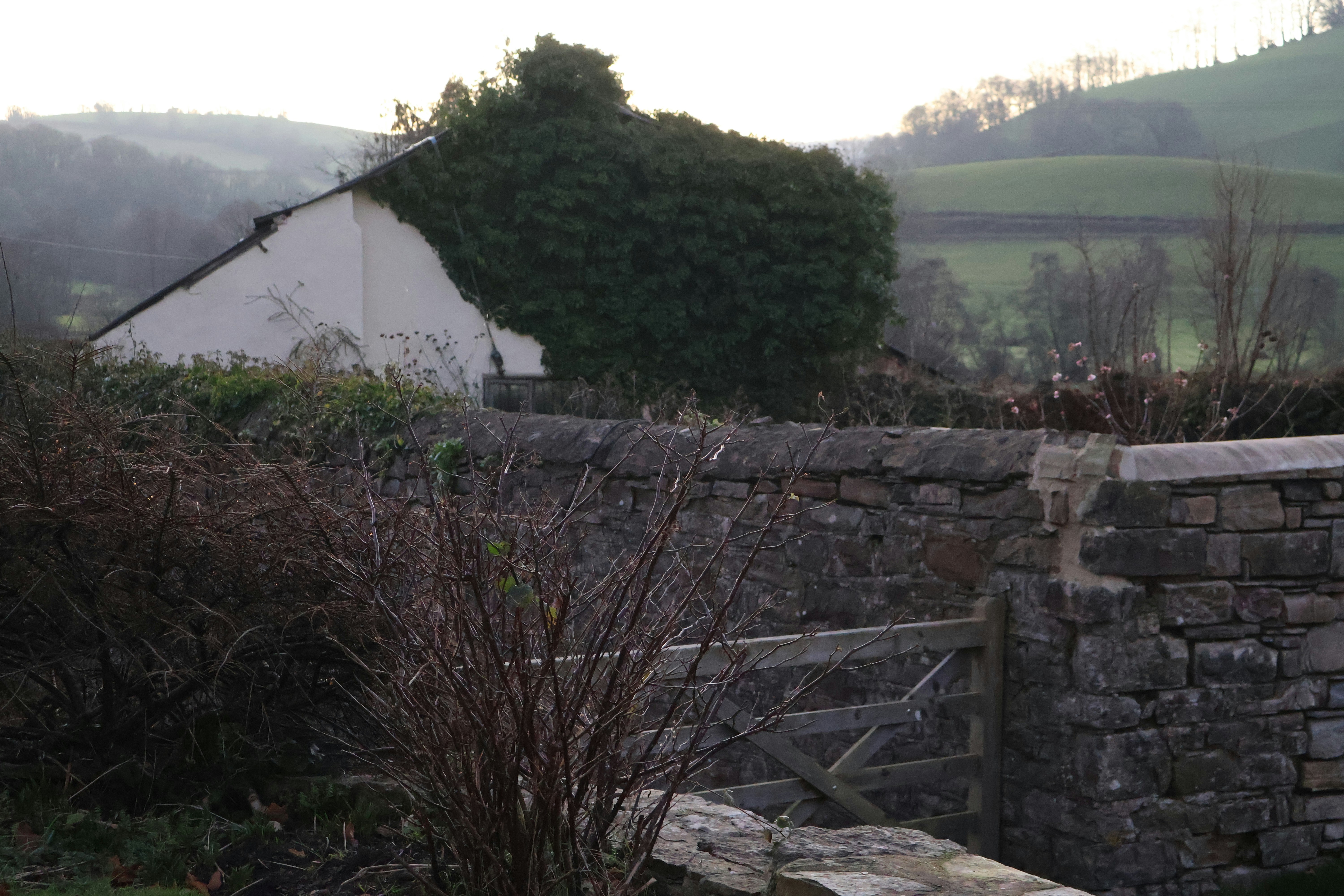 Photo by tanyabarrow