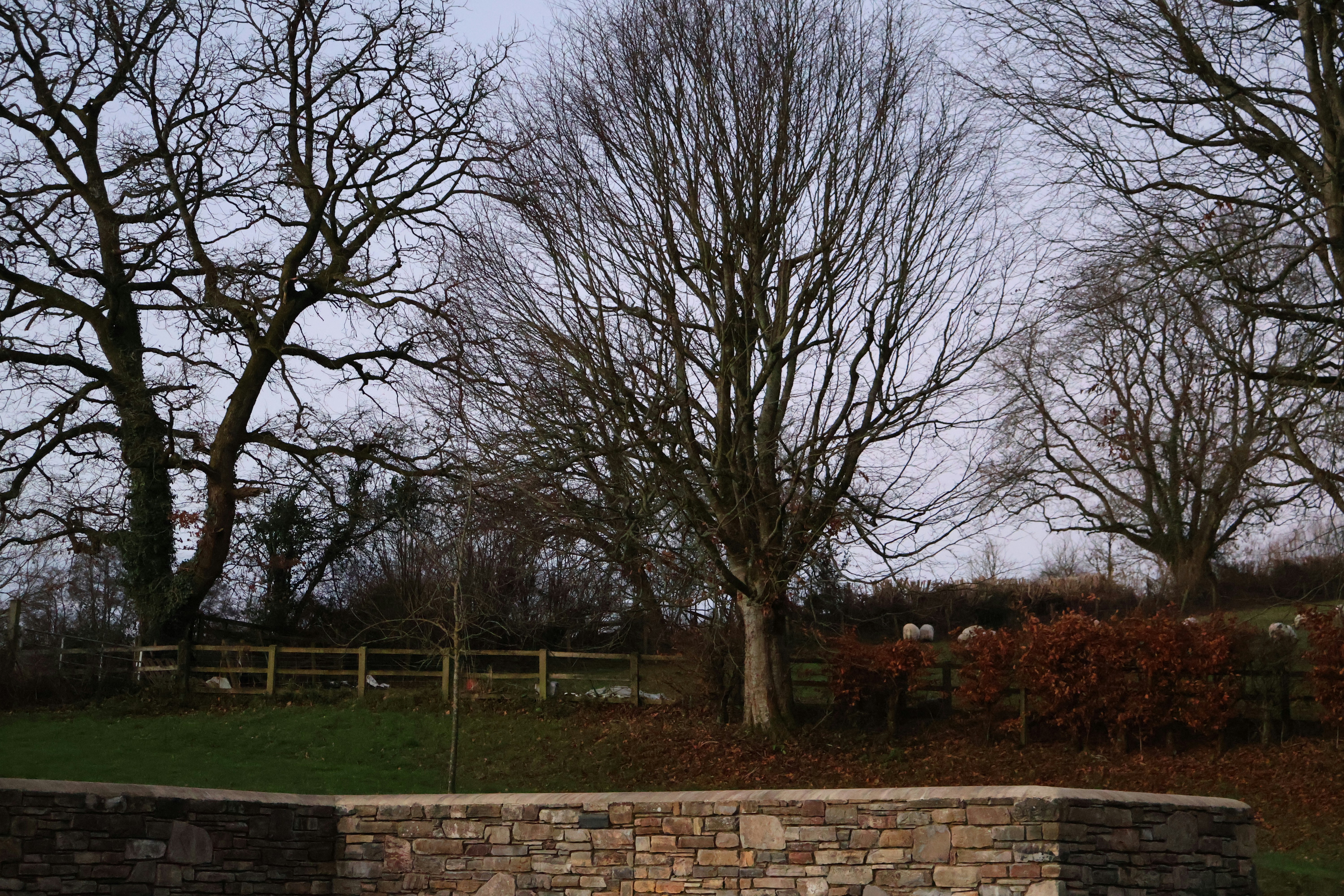 Photo by tanyabarrow