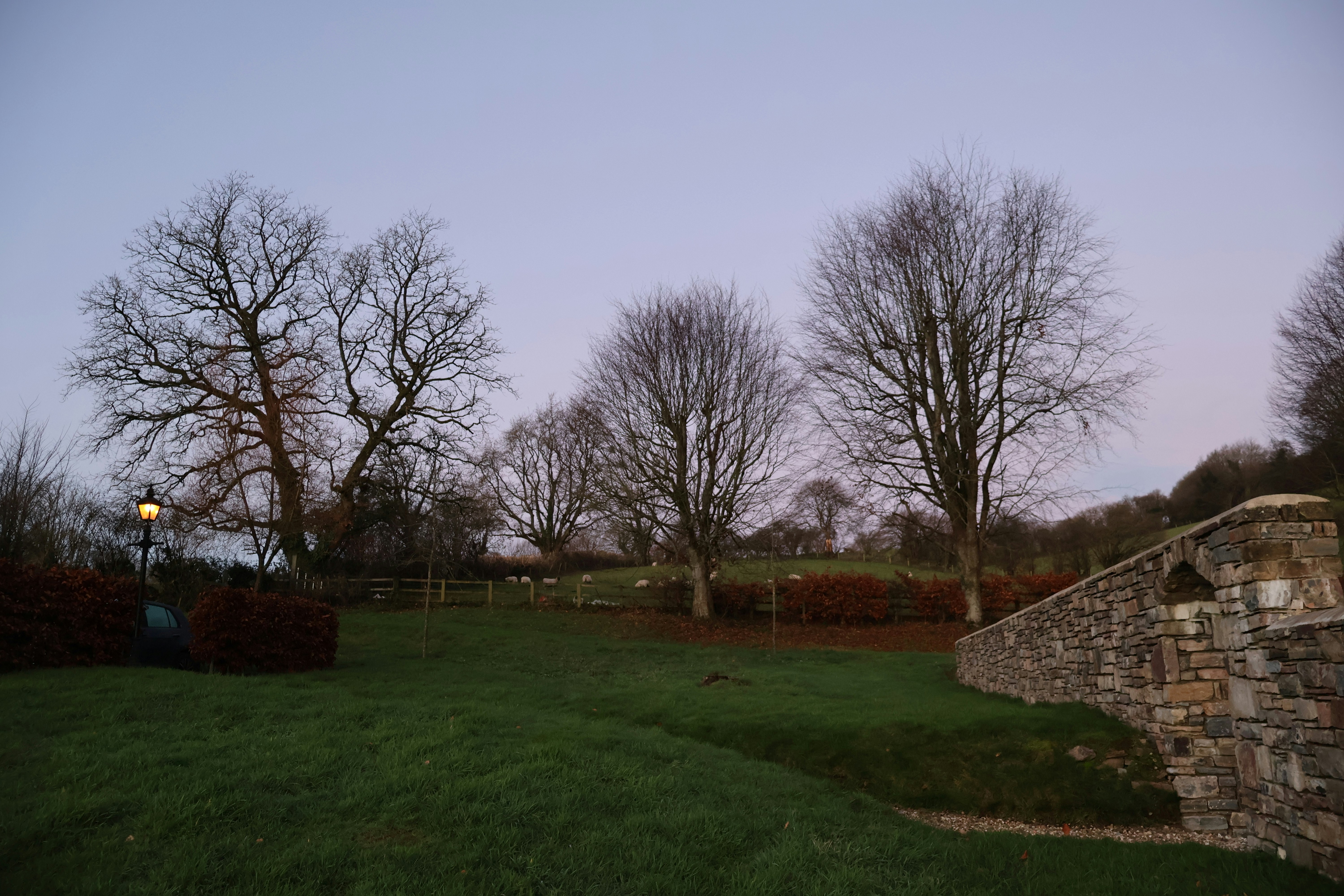 Photo by tanyabarrow