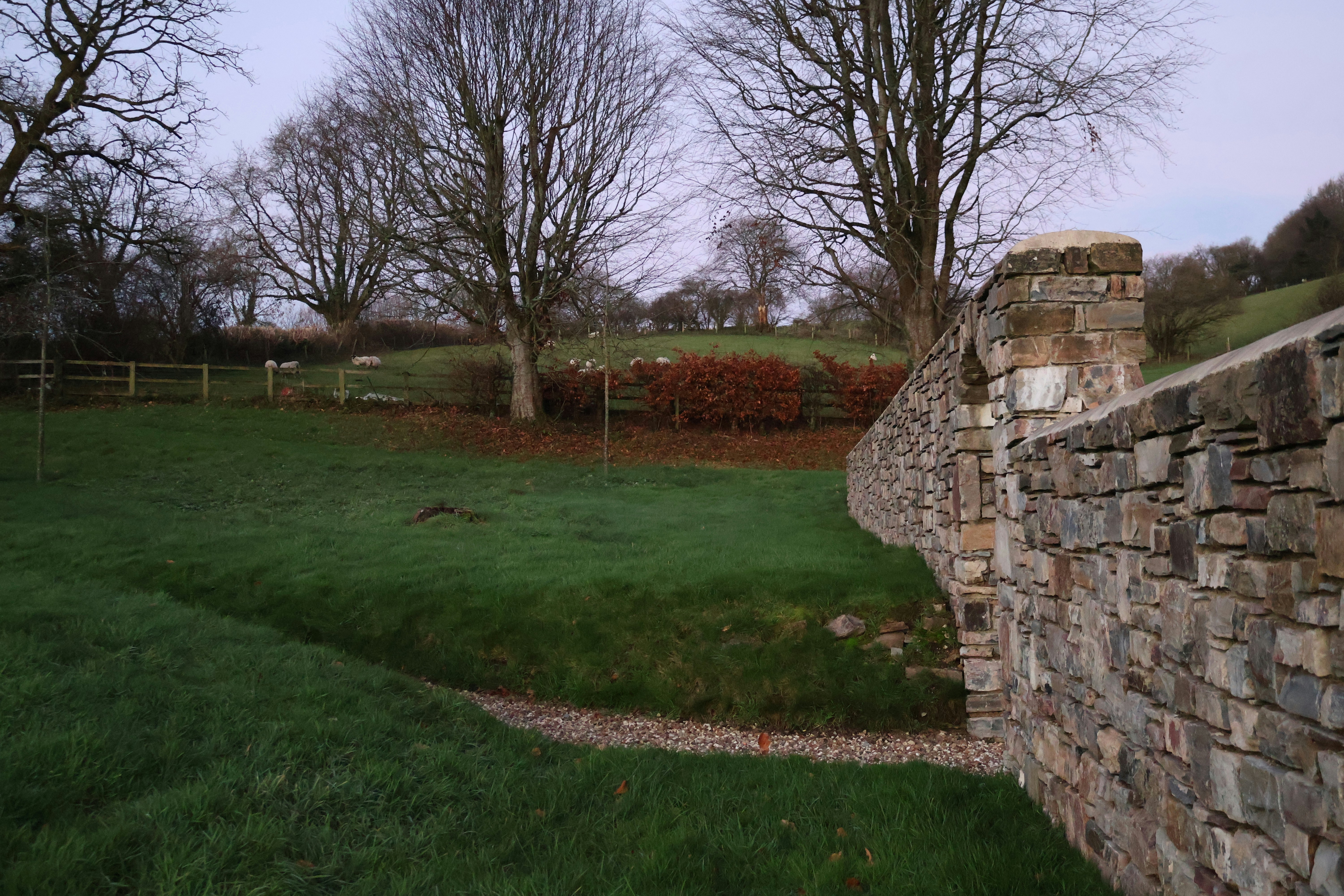 Photo by tanyabarrow