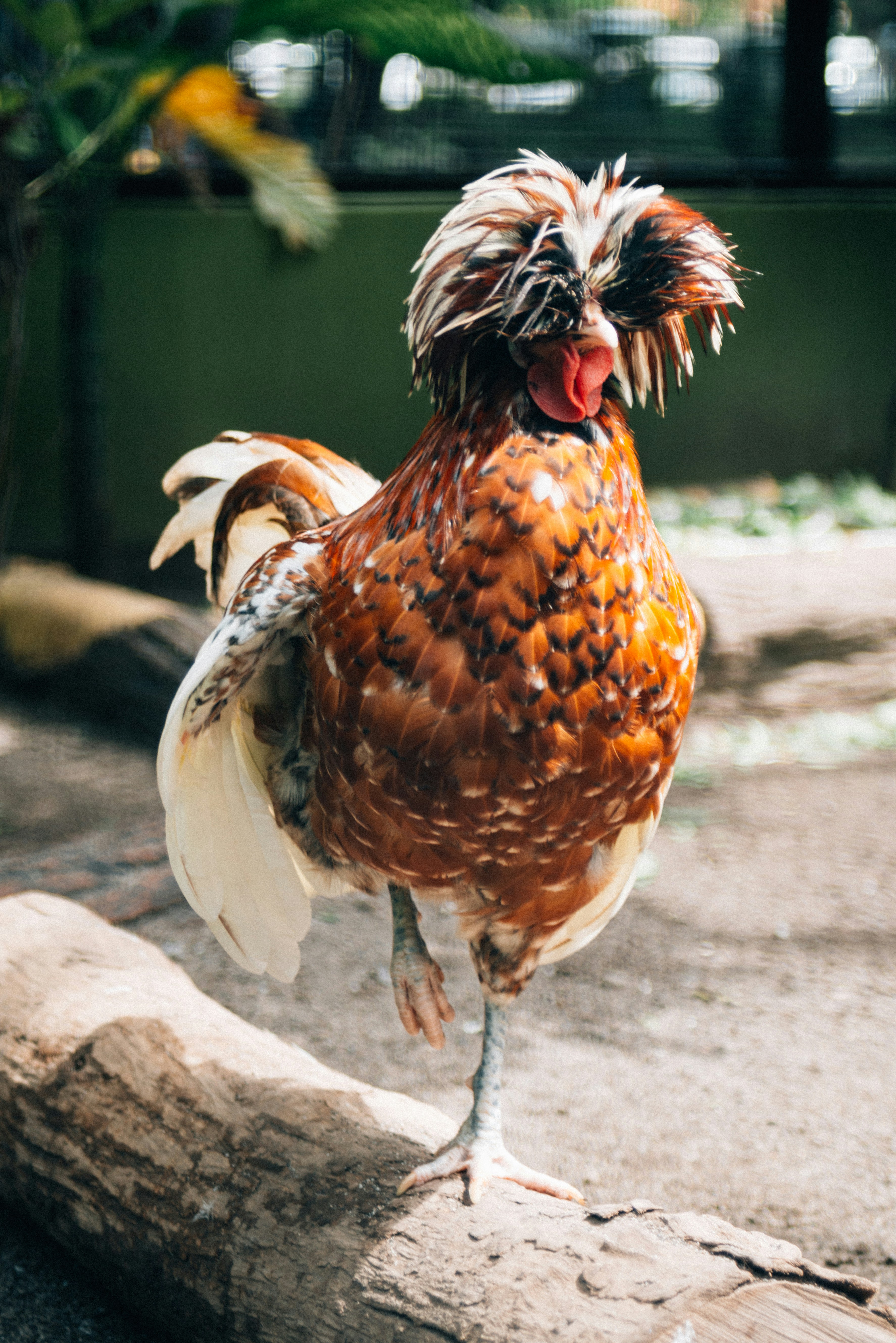 Photo by annoying_salman