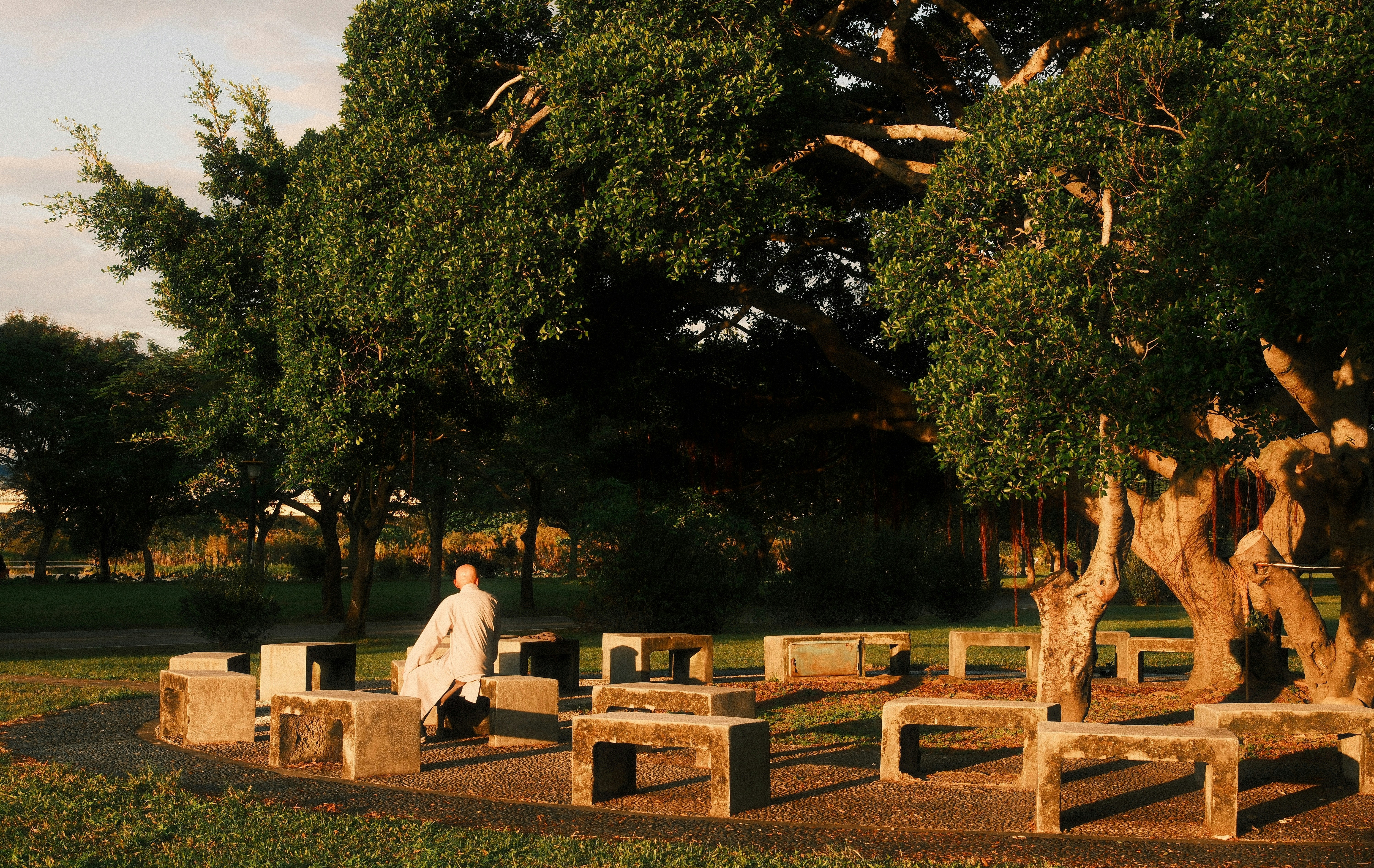 Person sitting on stone bench under tree