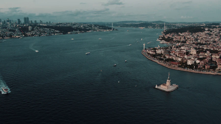 Blick auf den Bosporus und Istanbul