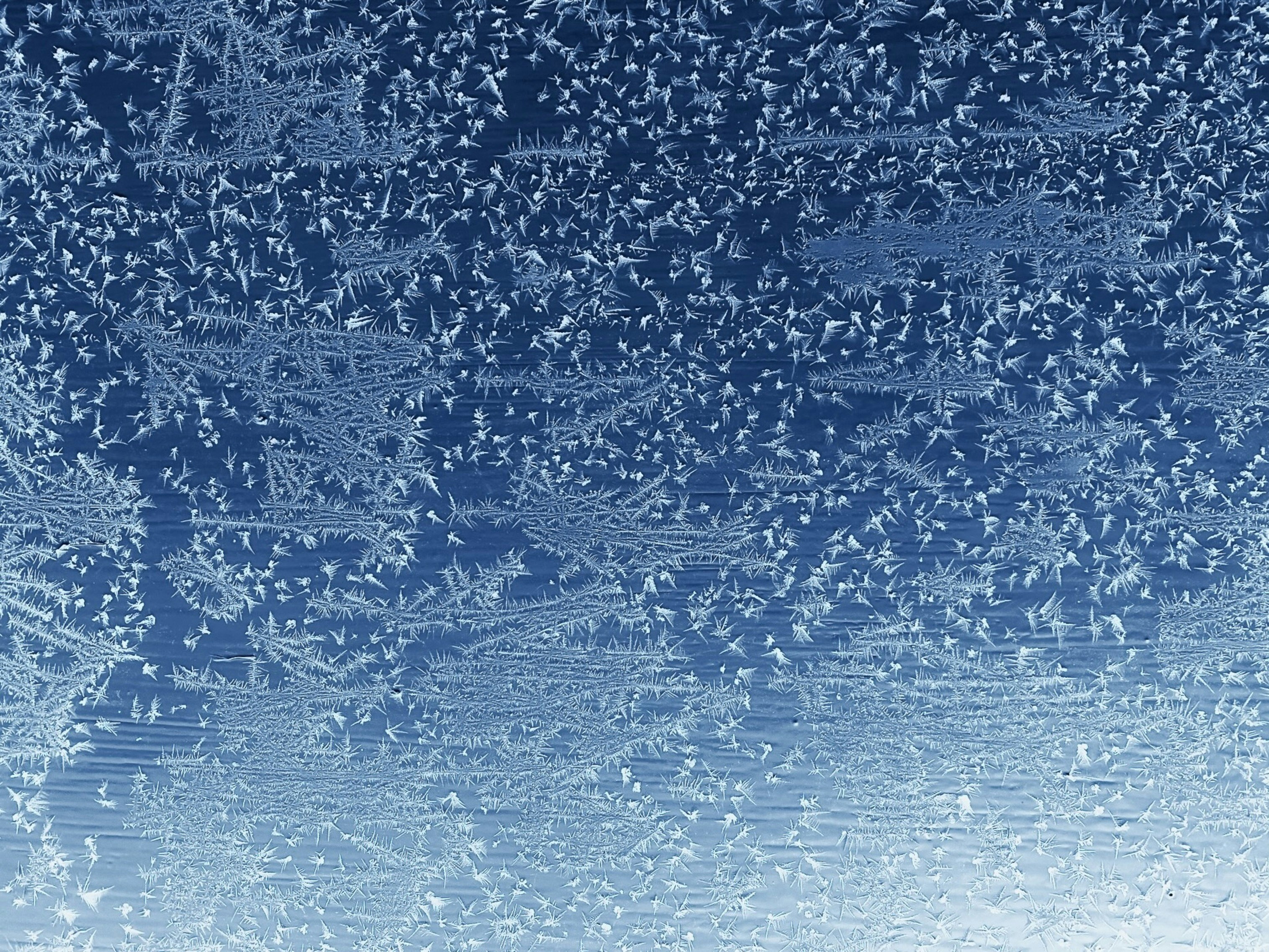 Photo by eugene_golovesov