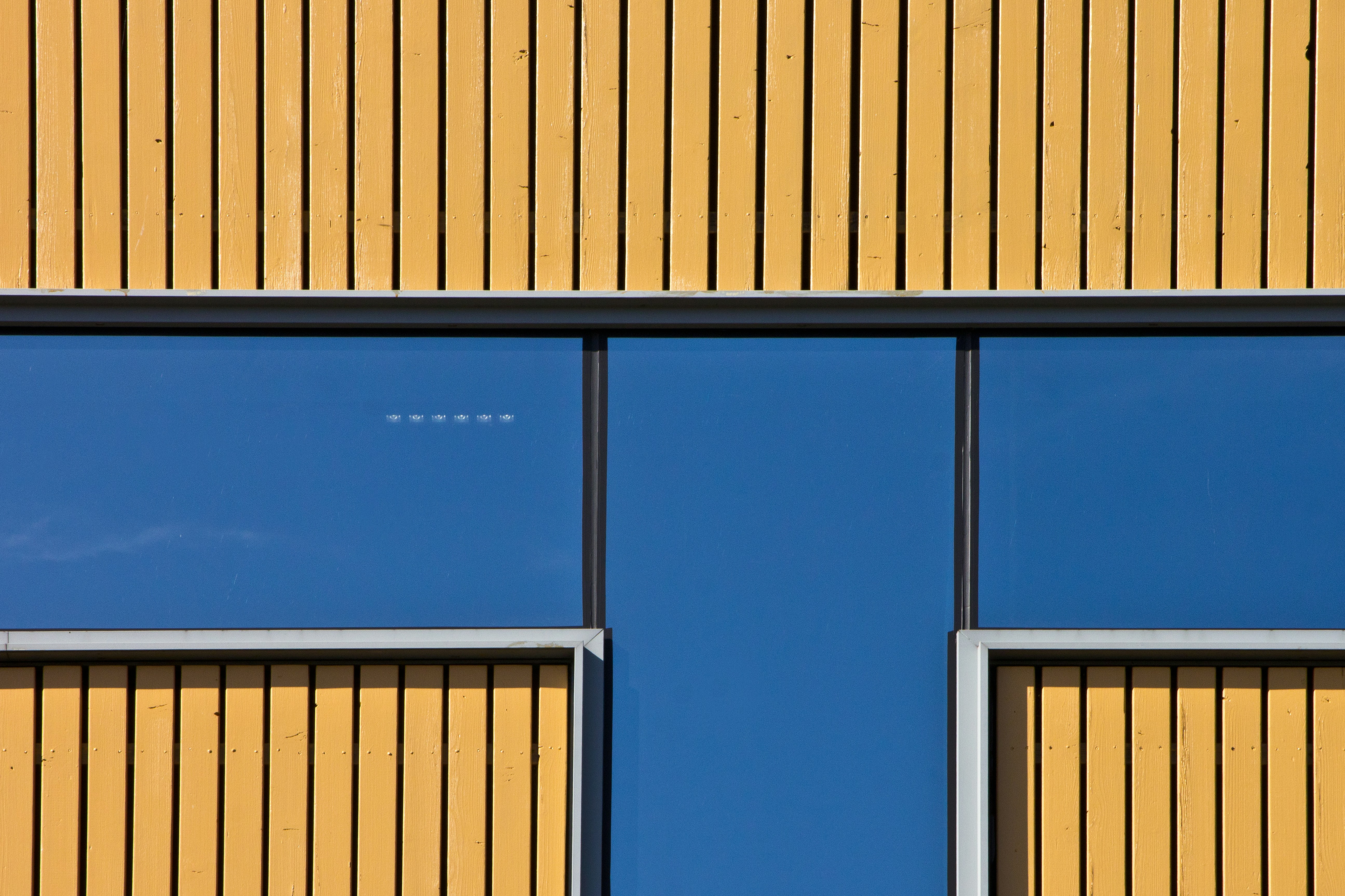 Photo by conniedevries