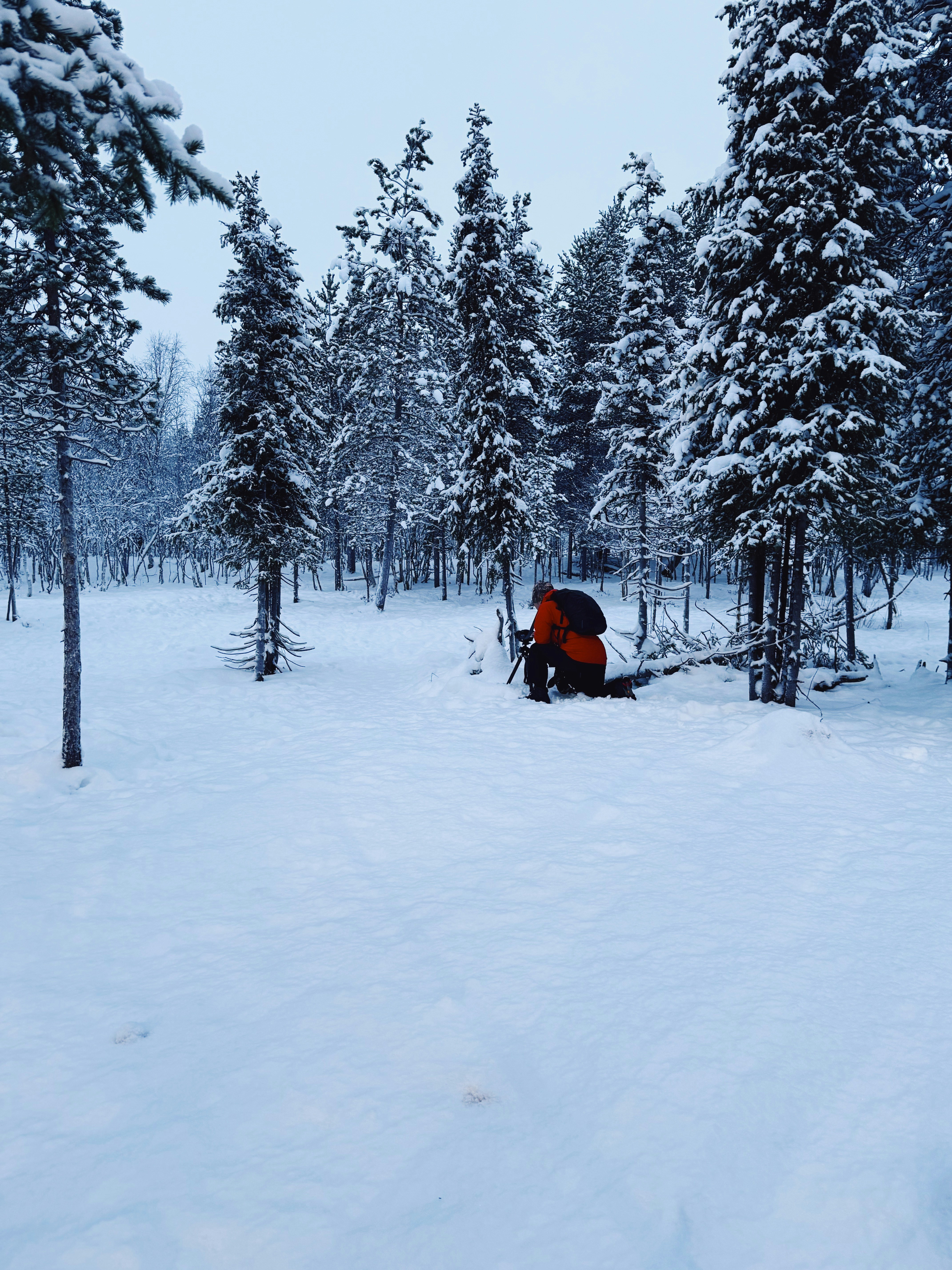 Persona con chaqueta naranja en un bosque nevado