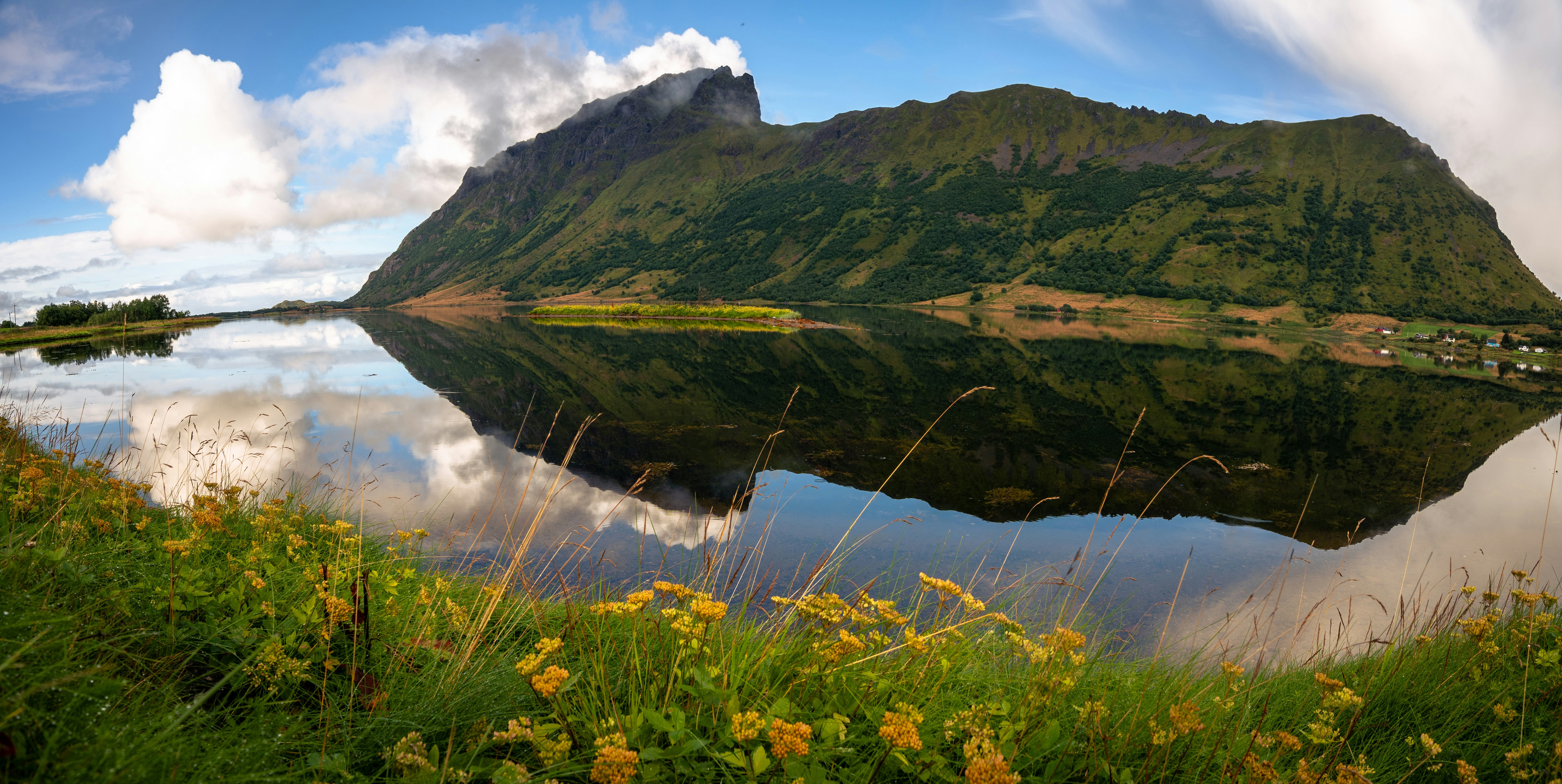 Montaña verde reflejada en aguas tranquilas con flores amarillas.