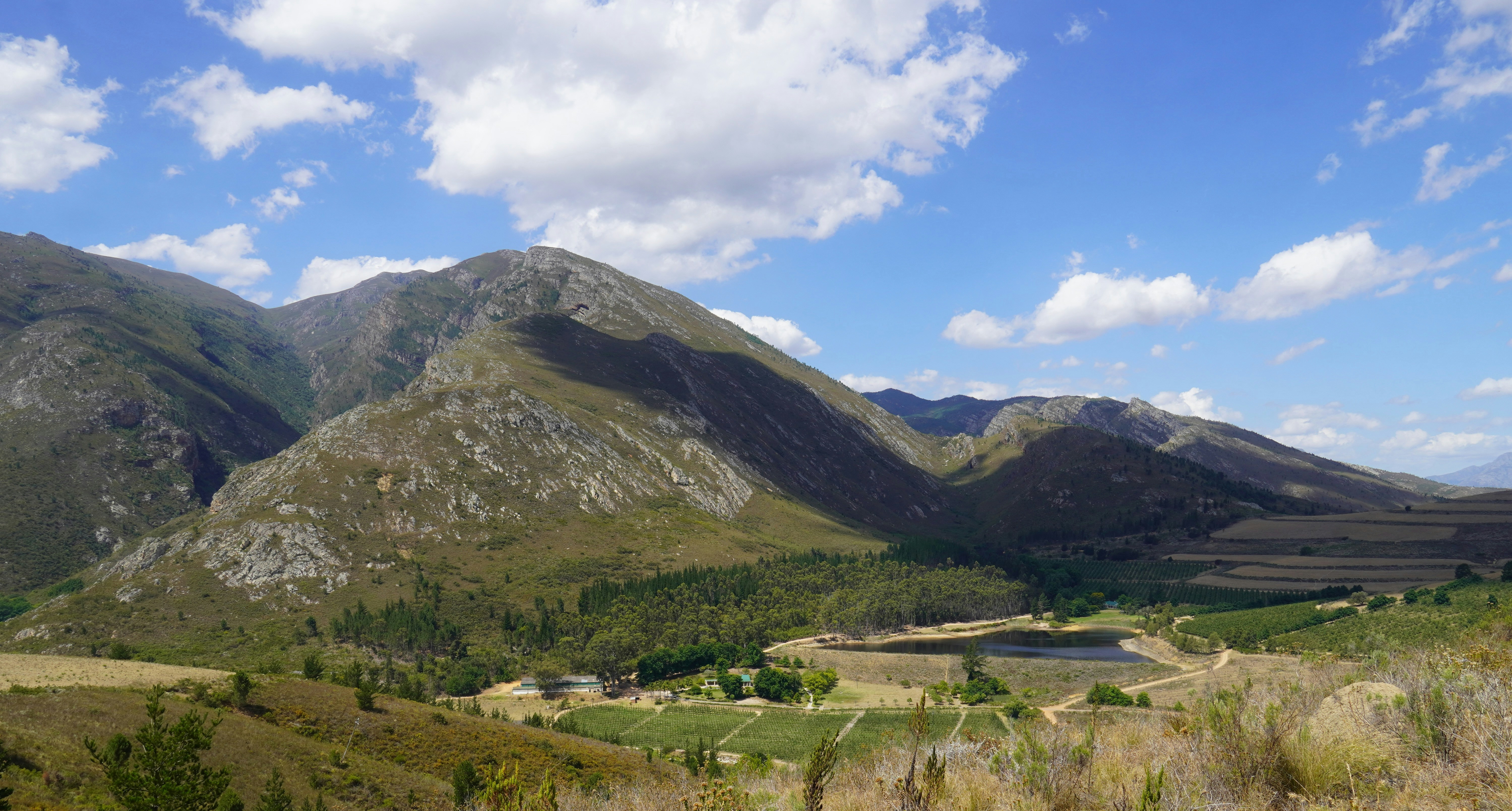 Forest Hill Wilderness