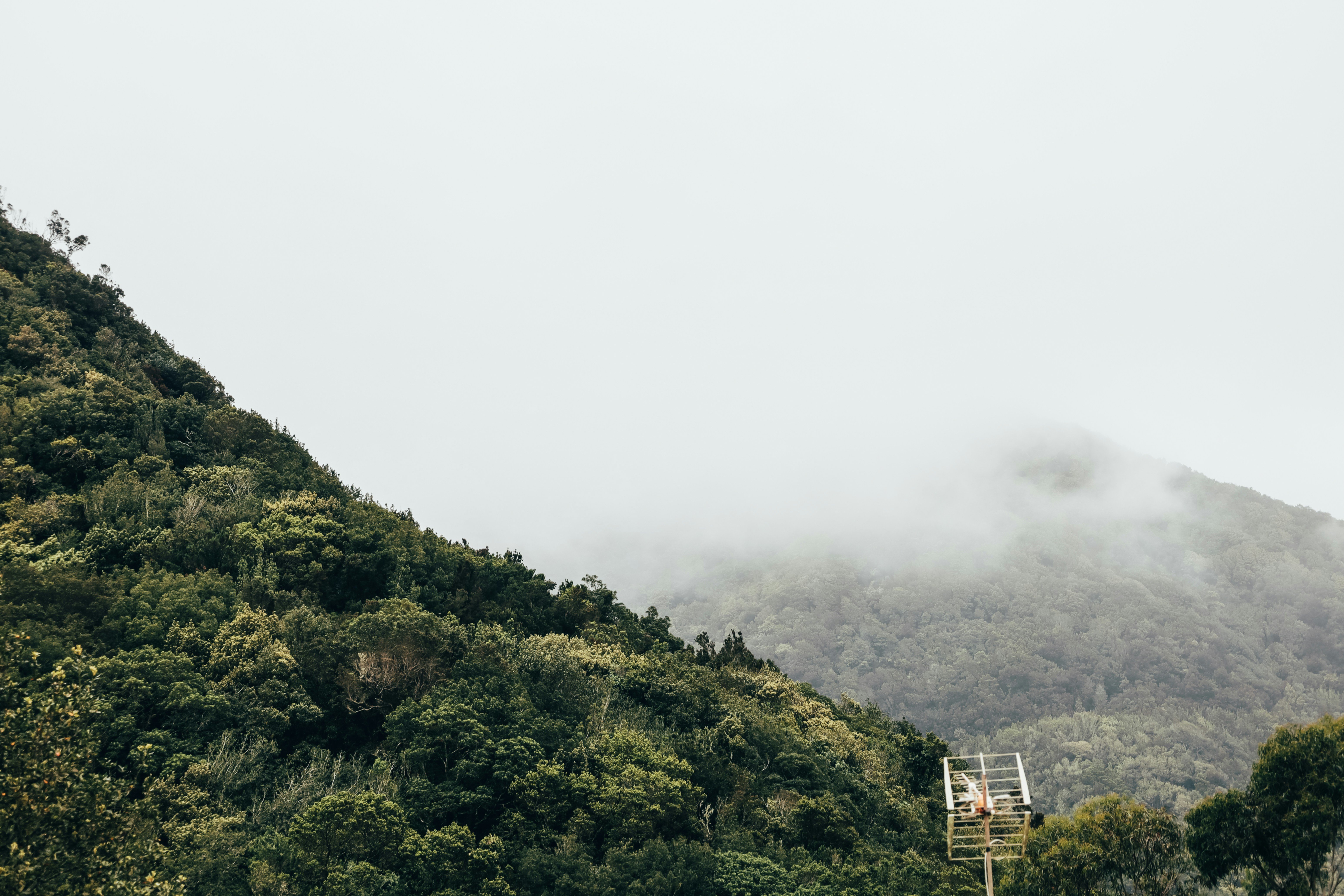 Photo by angelika_past