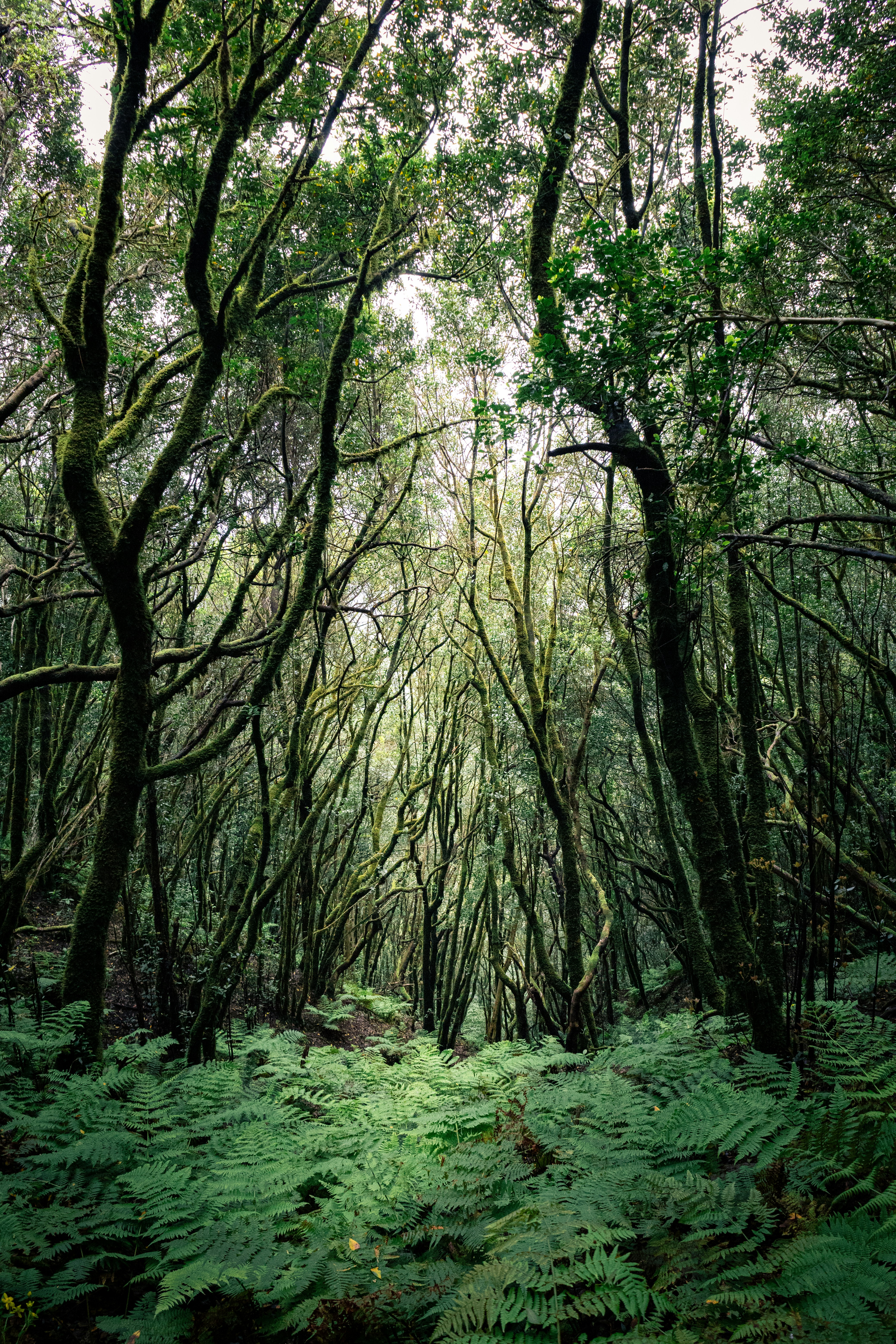 Photo by angelika_past