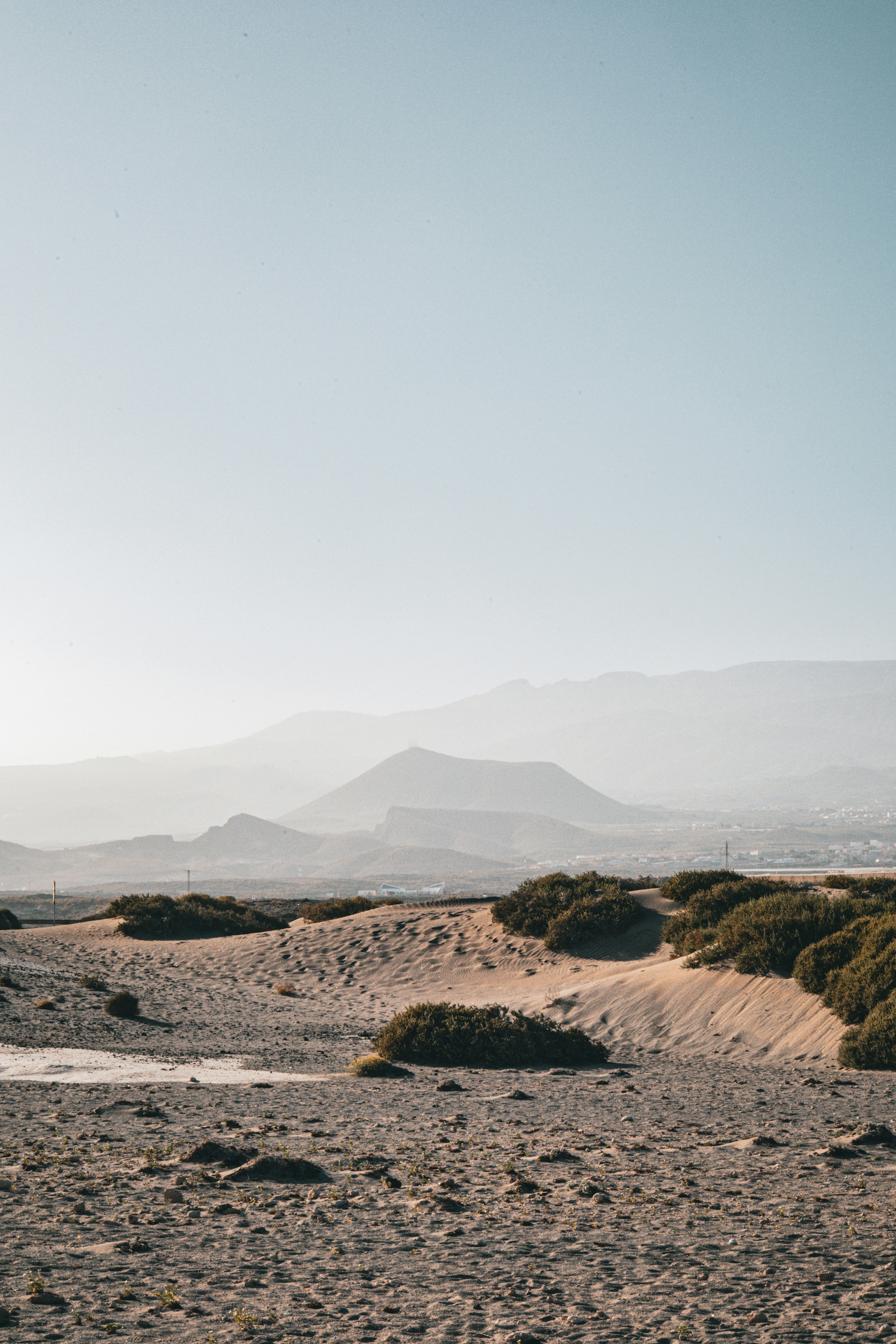 Dune sabbiose con cespugli verdi radi e montagne lontane.