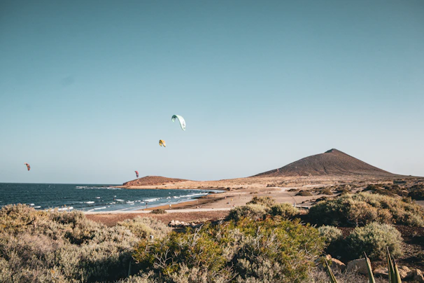 Kite surfers on a sunny day at the beach.