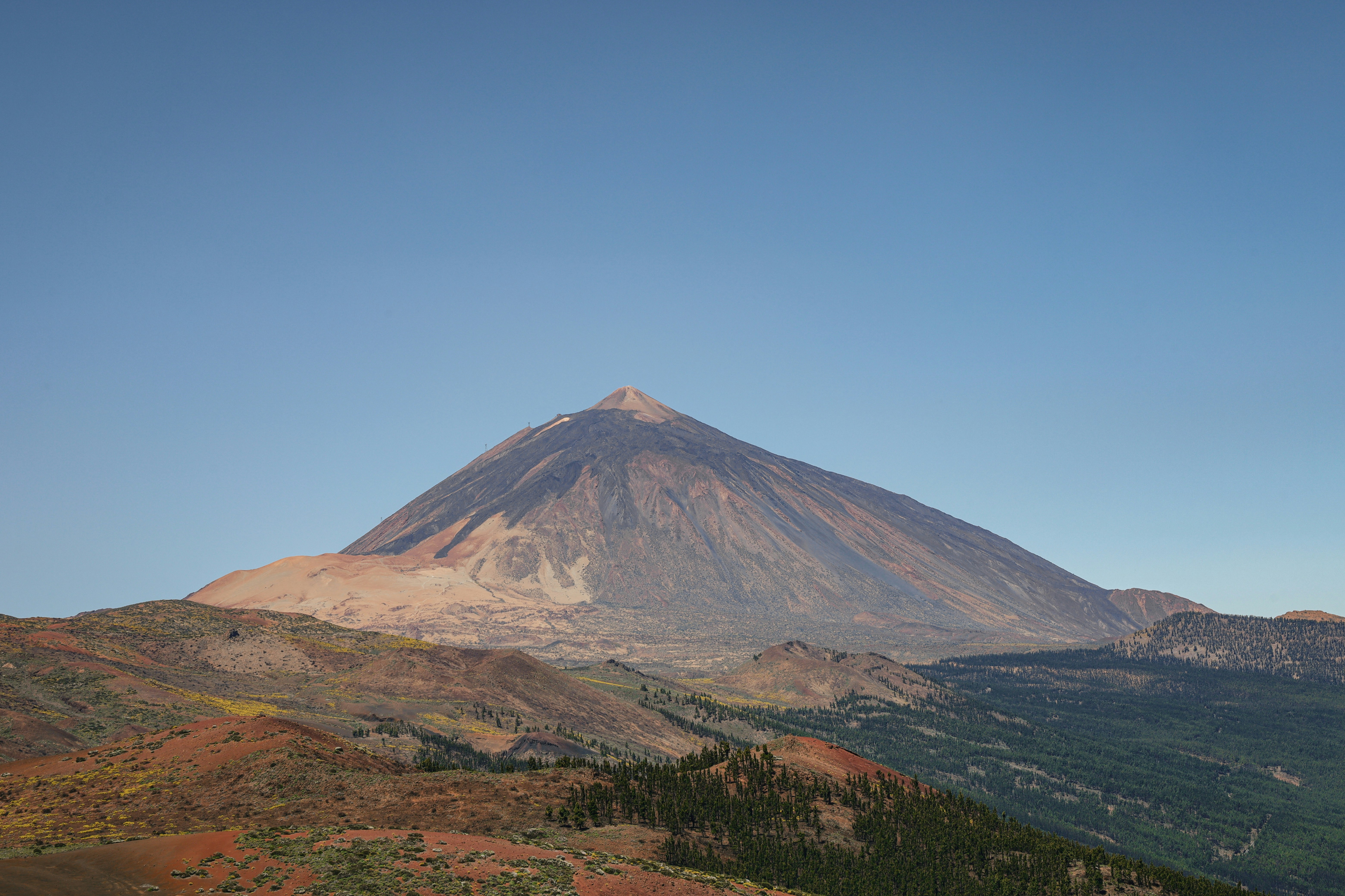 Photo by angelika_past