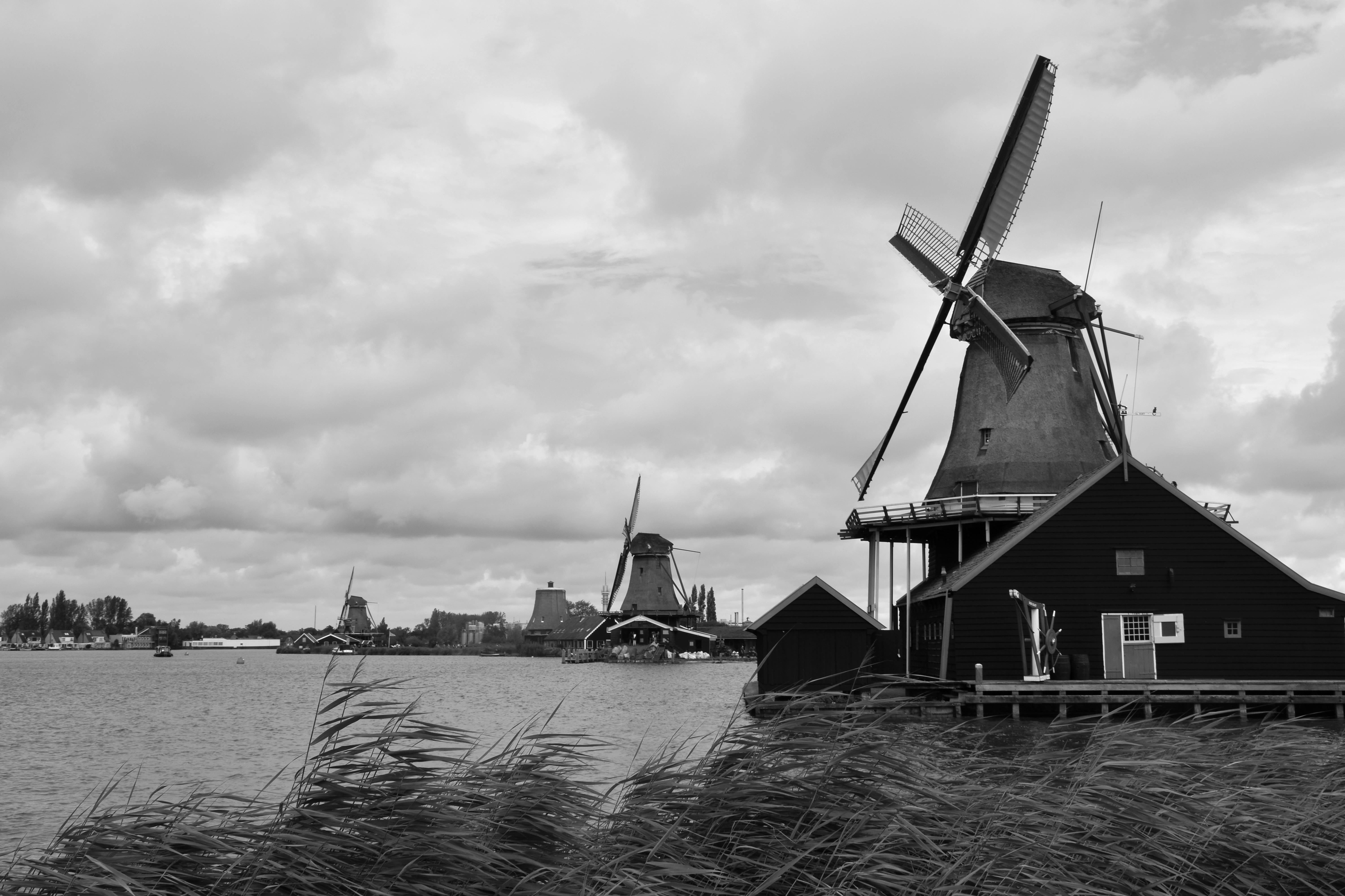 Windmills stand near a body of water under cloudy skies.