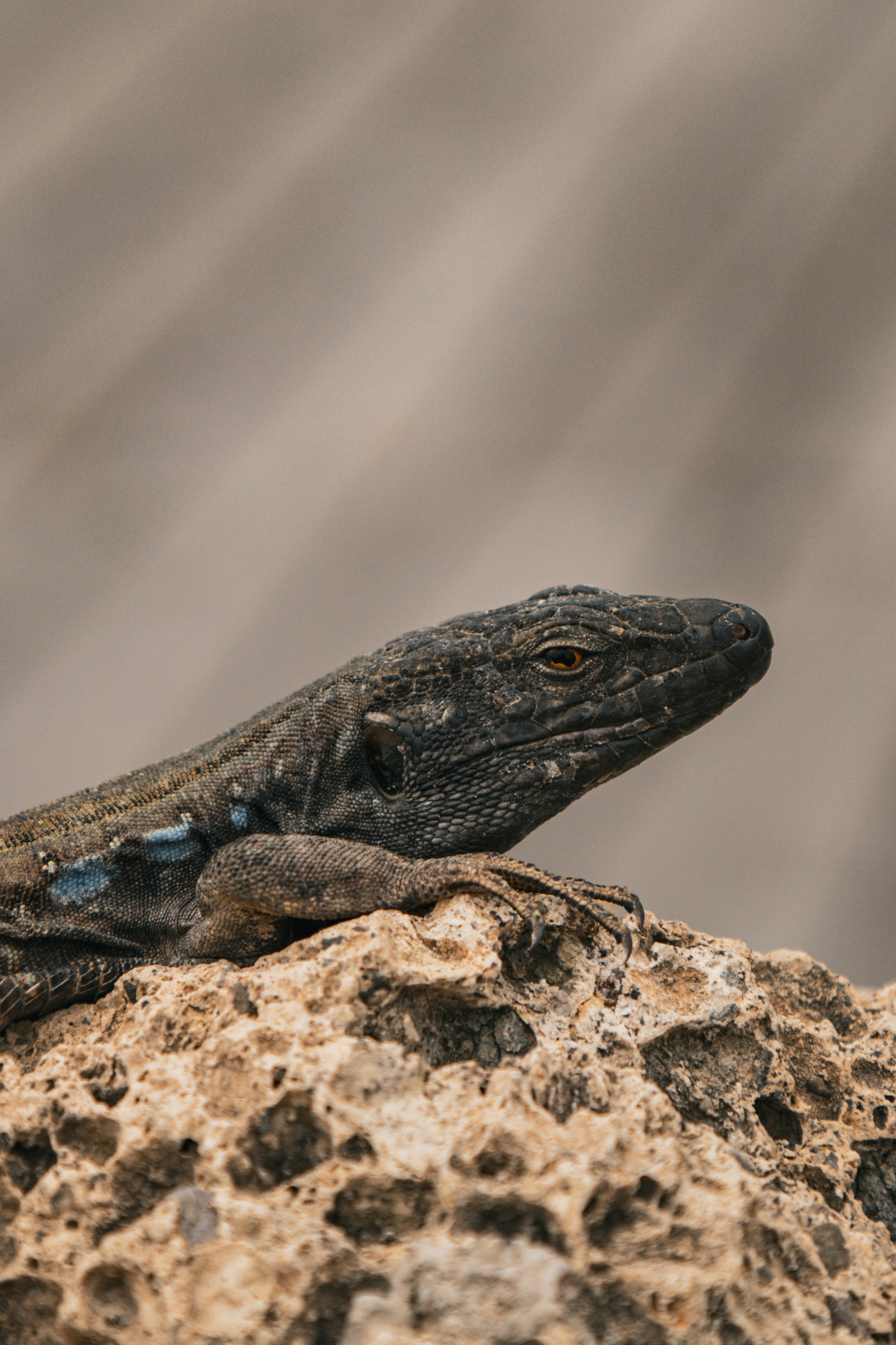 Photo by angelika_past