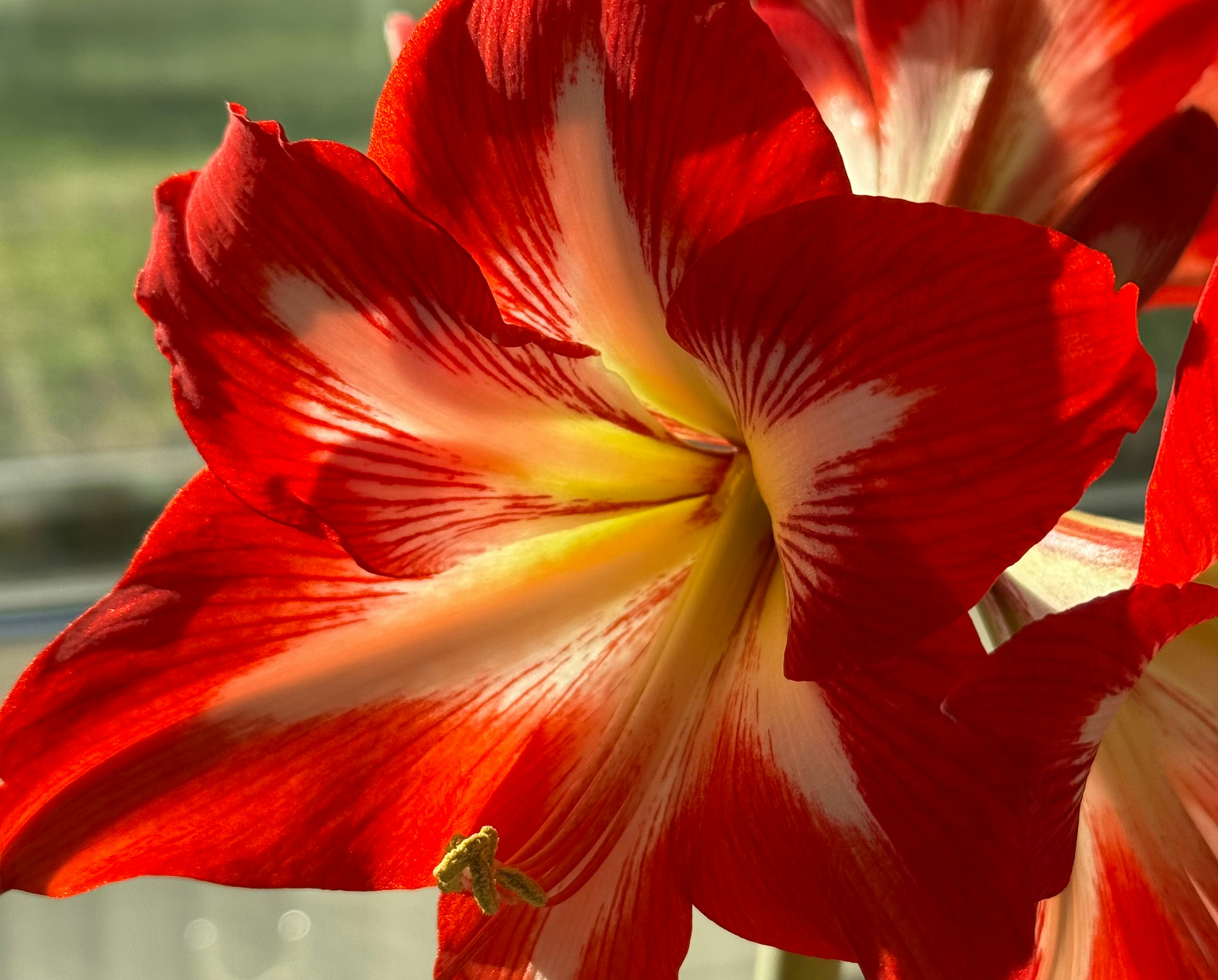 Photo by photosfromhome