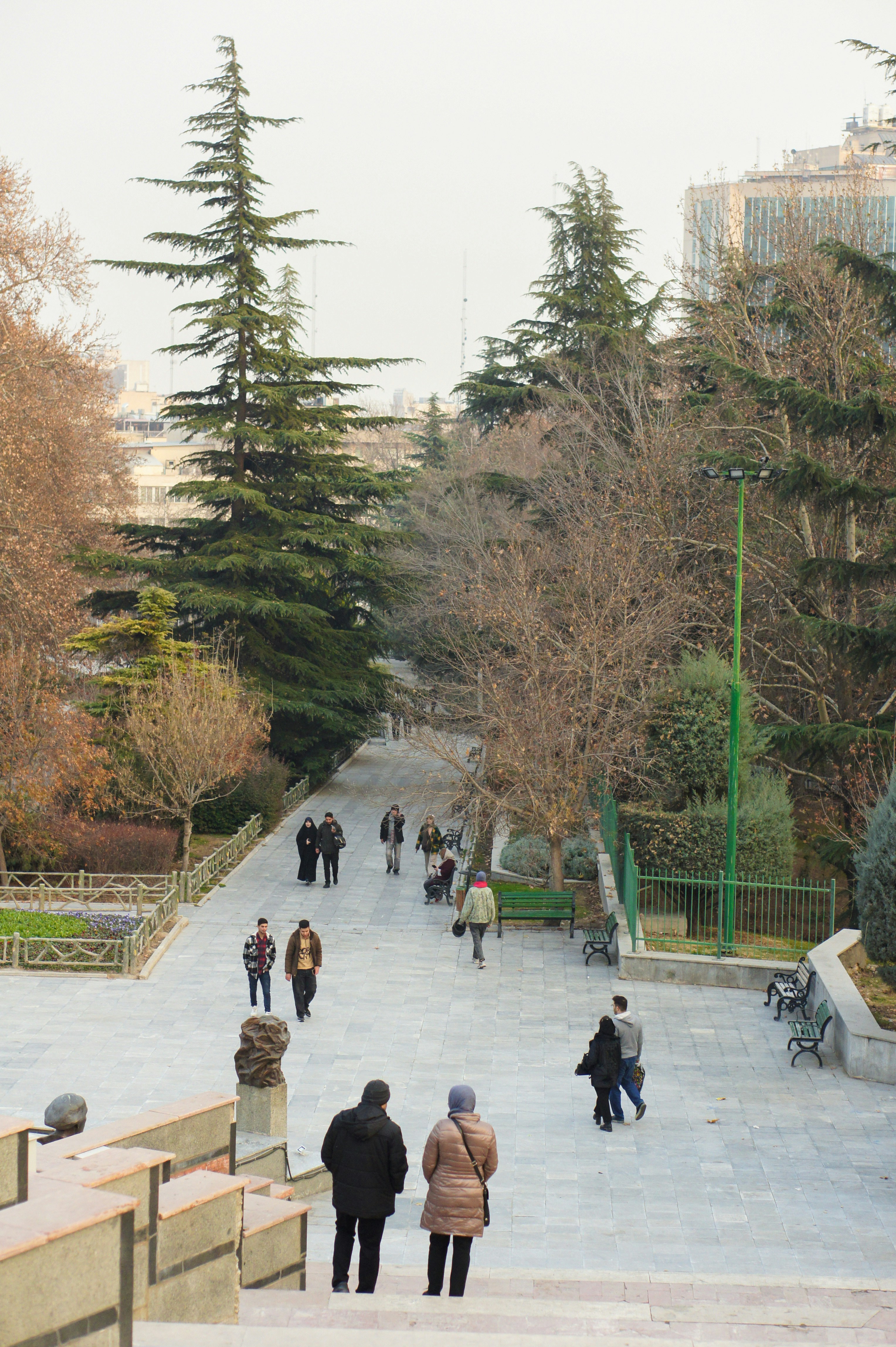 People walking on a path in a park with trees.