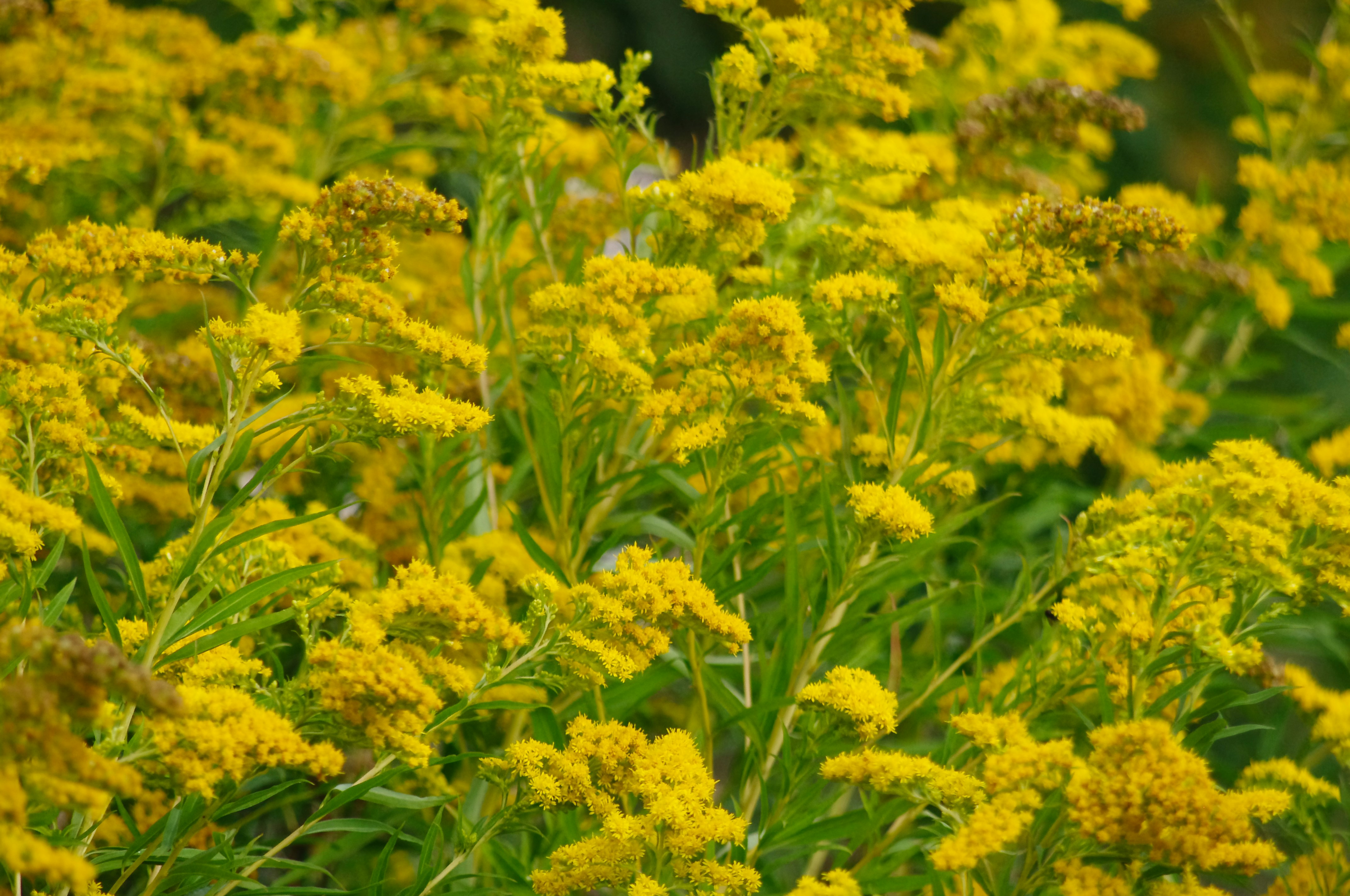 Photo by torben_gettermann