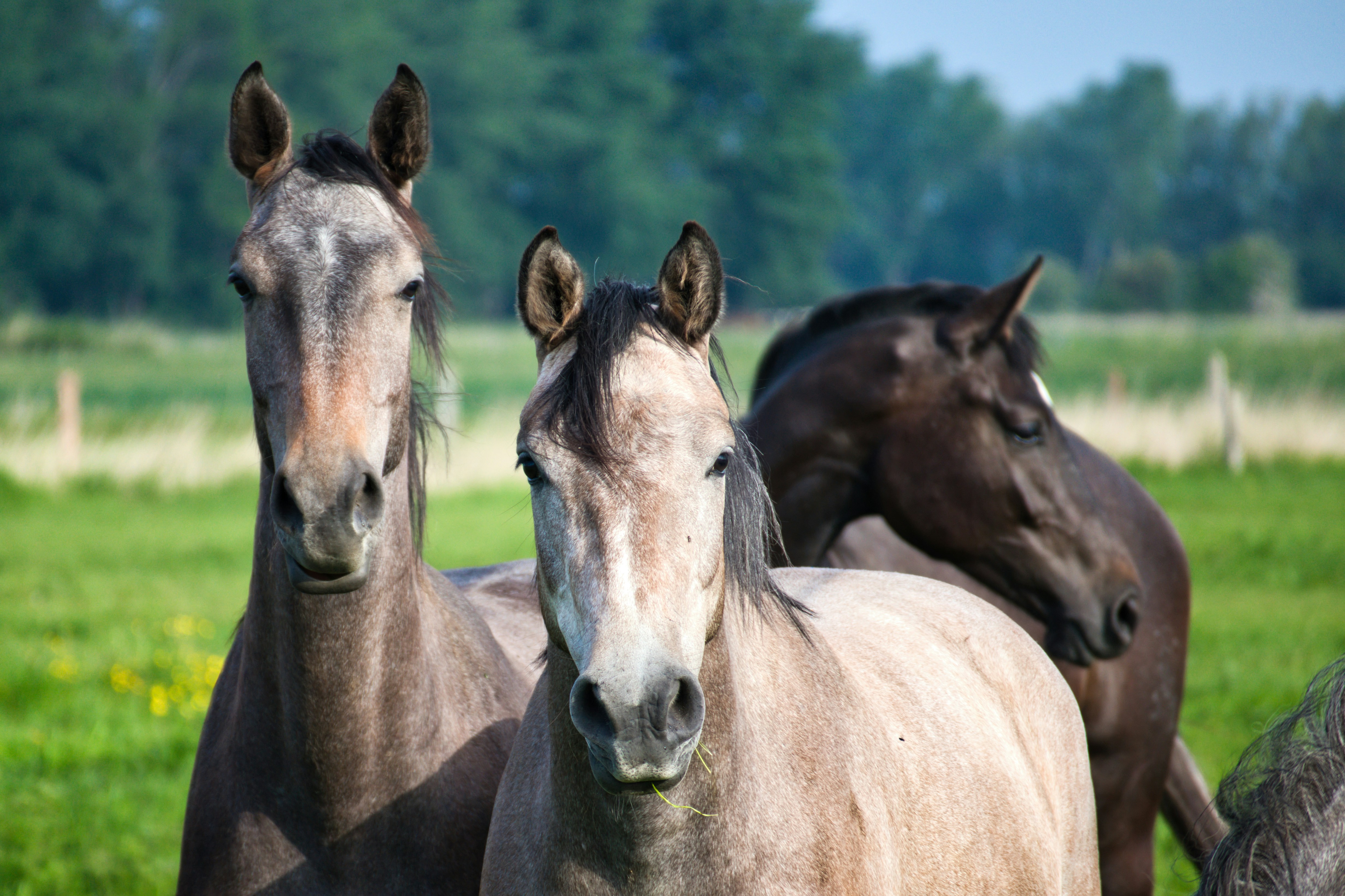 Photo by torben_gettermann