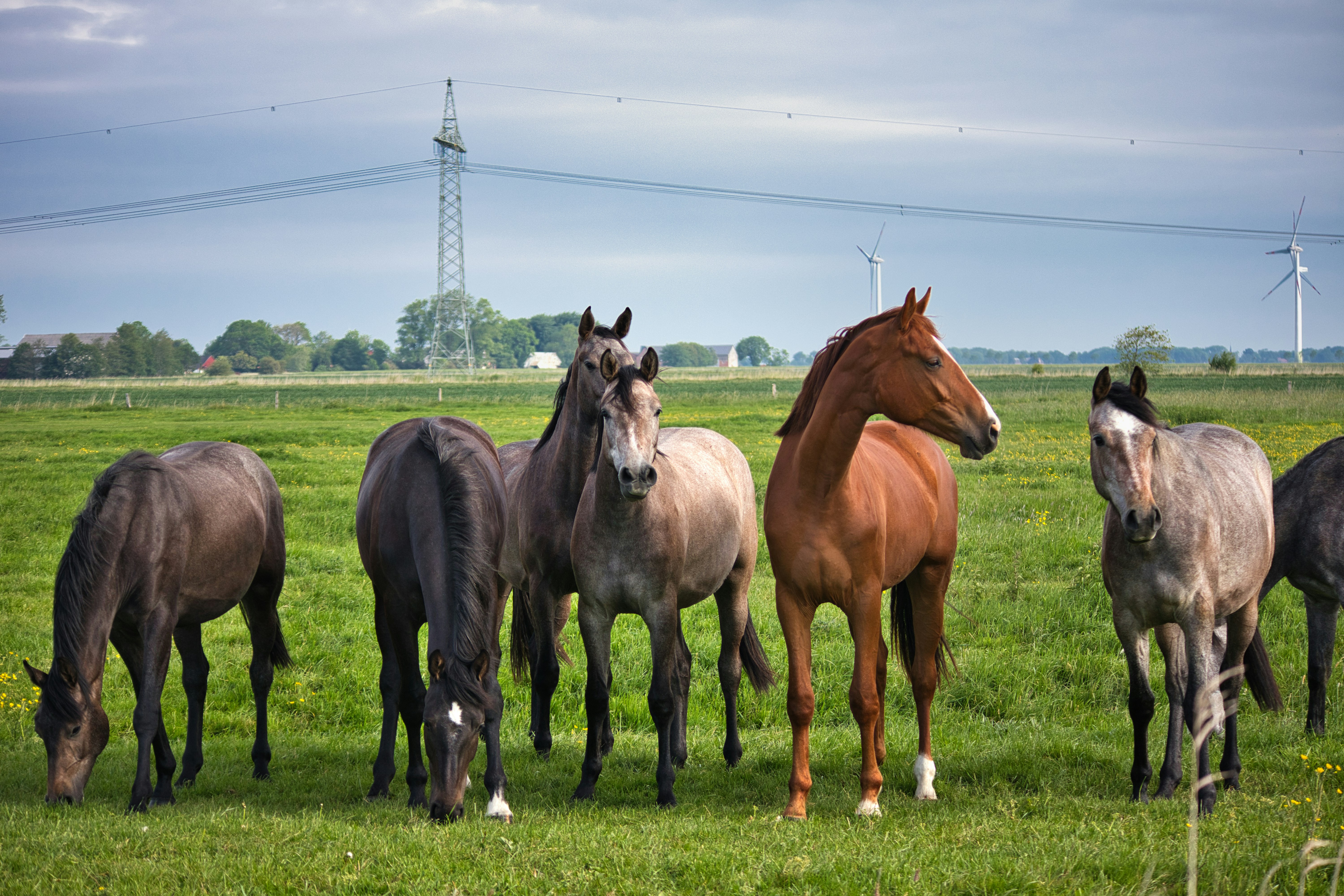 Photo by torben_gettermann