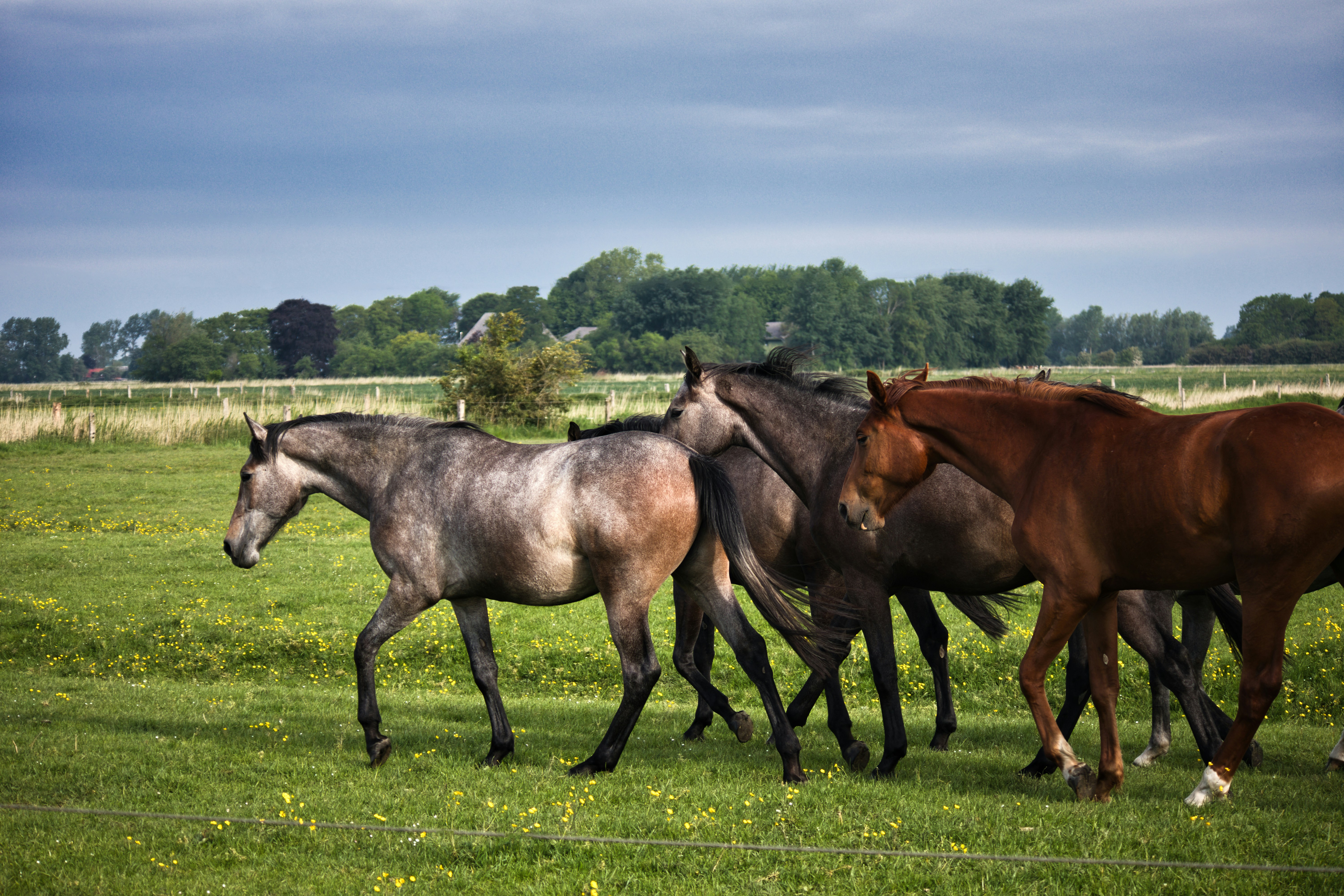 Photo by torben_gettermann